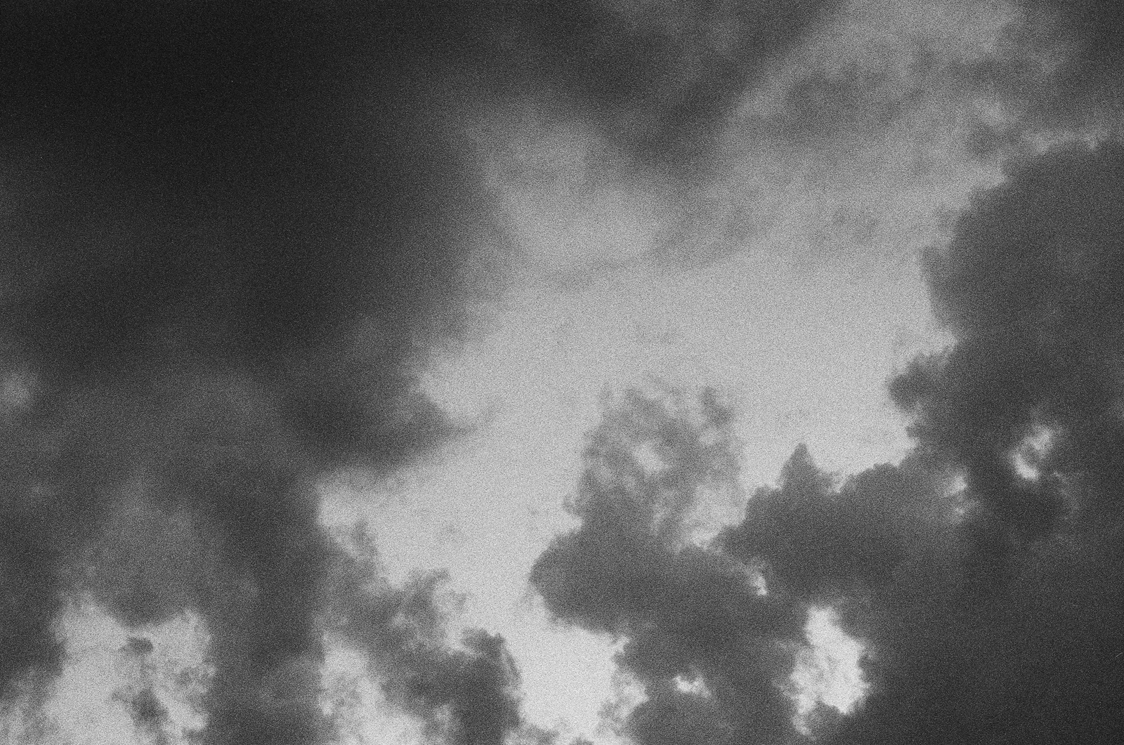 Andrew Martin, Untitled (Golden Isles, 2), 2024