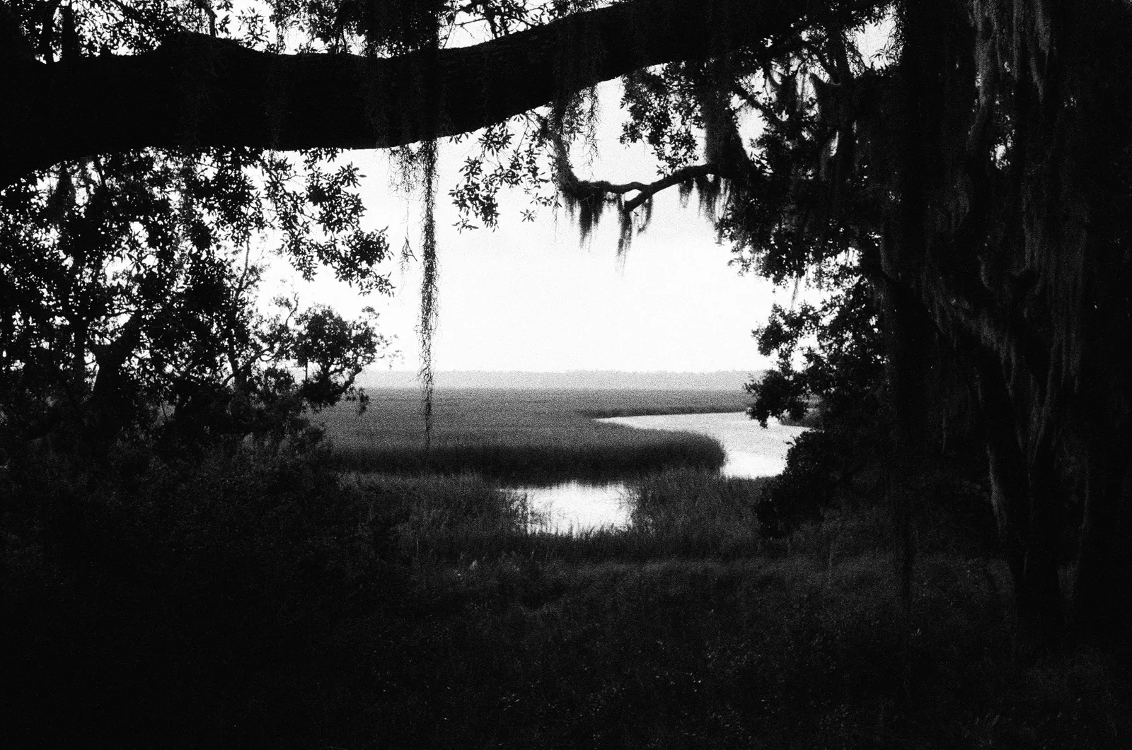 Andrew Martin, Untitled (Golden Isles, 1), 2024