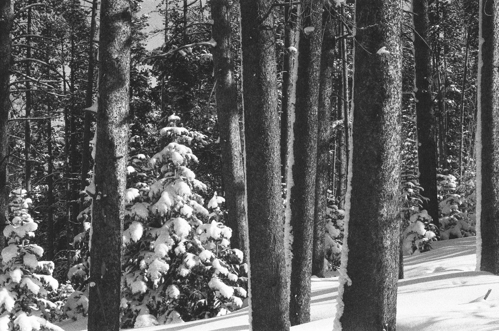 Andrew Martin, Untitled (Uintas, 1), 2024