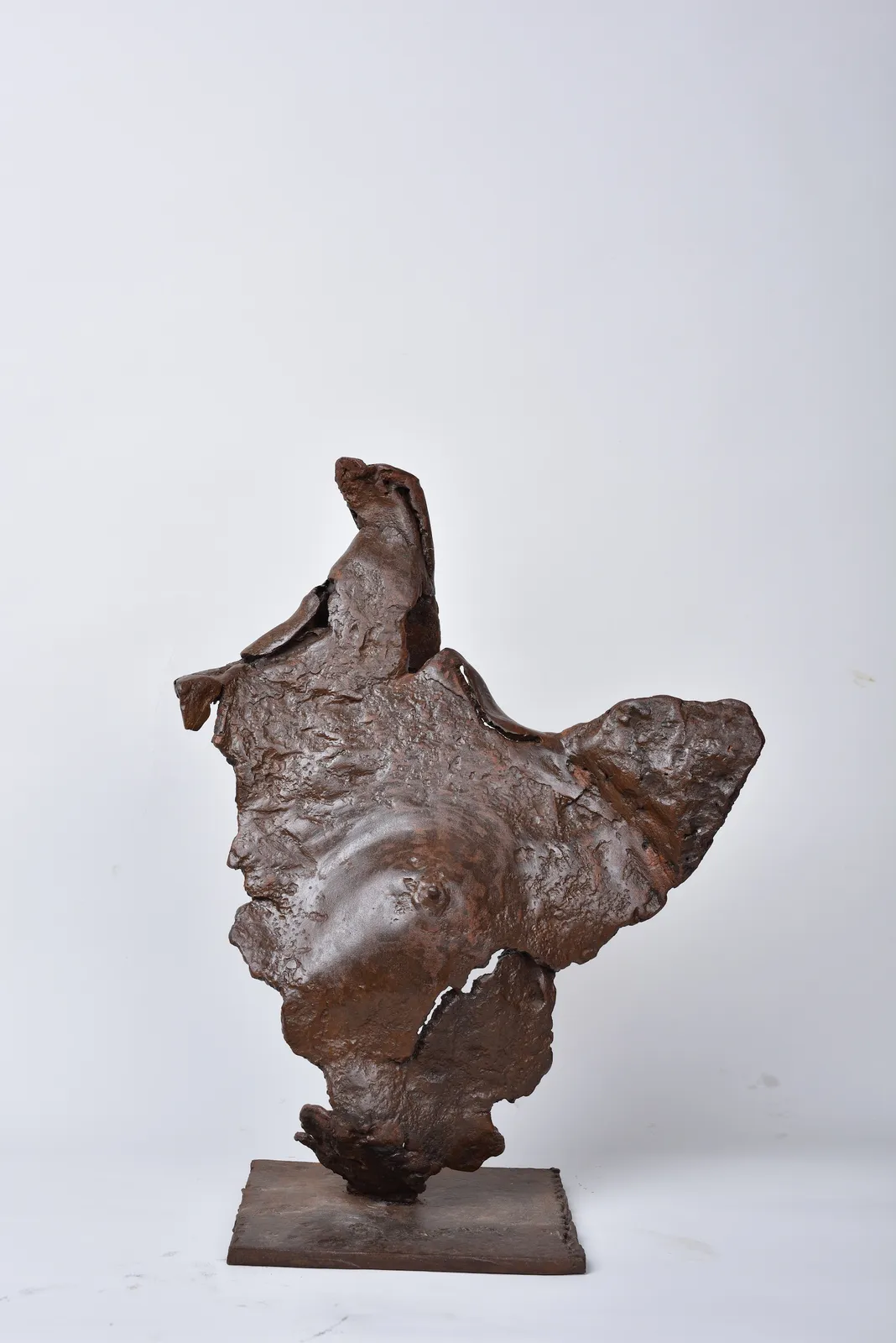 Koko - Jean-Claude Guerri