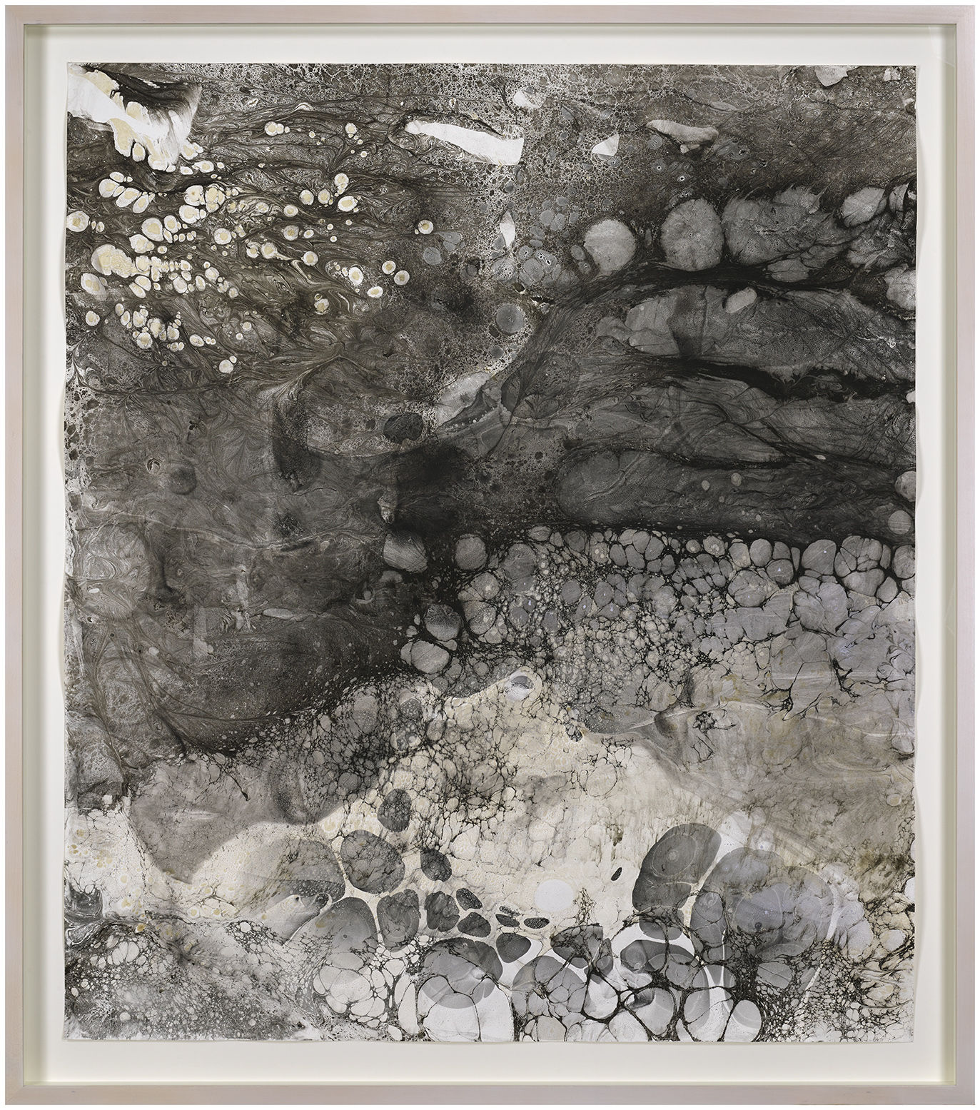 Anya Gallaccio, Untitled, Oceans 1, 2025