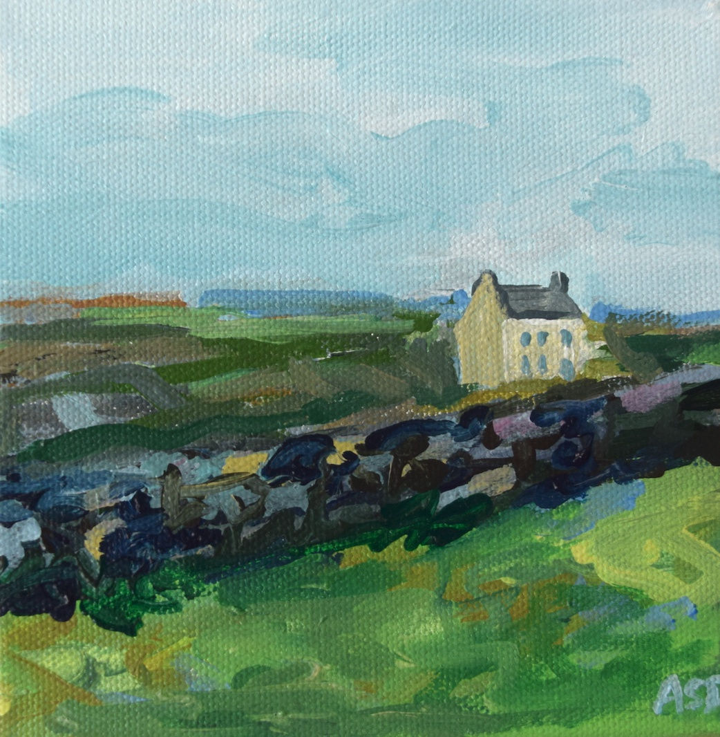 The Outermost House, 2020