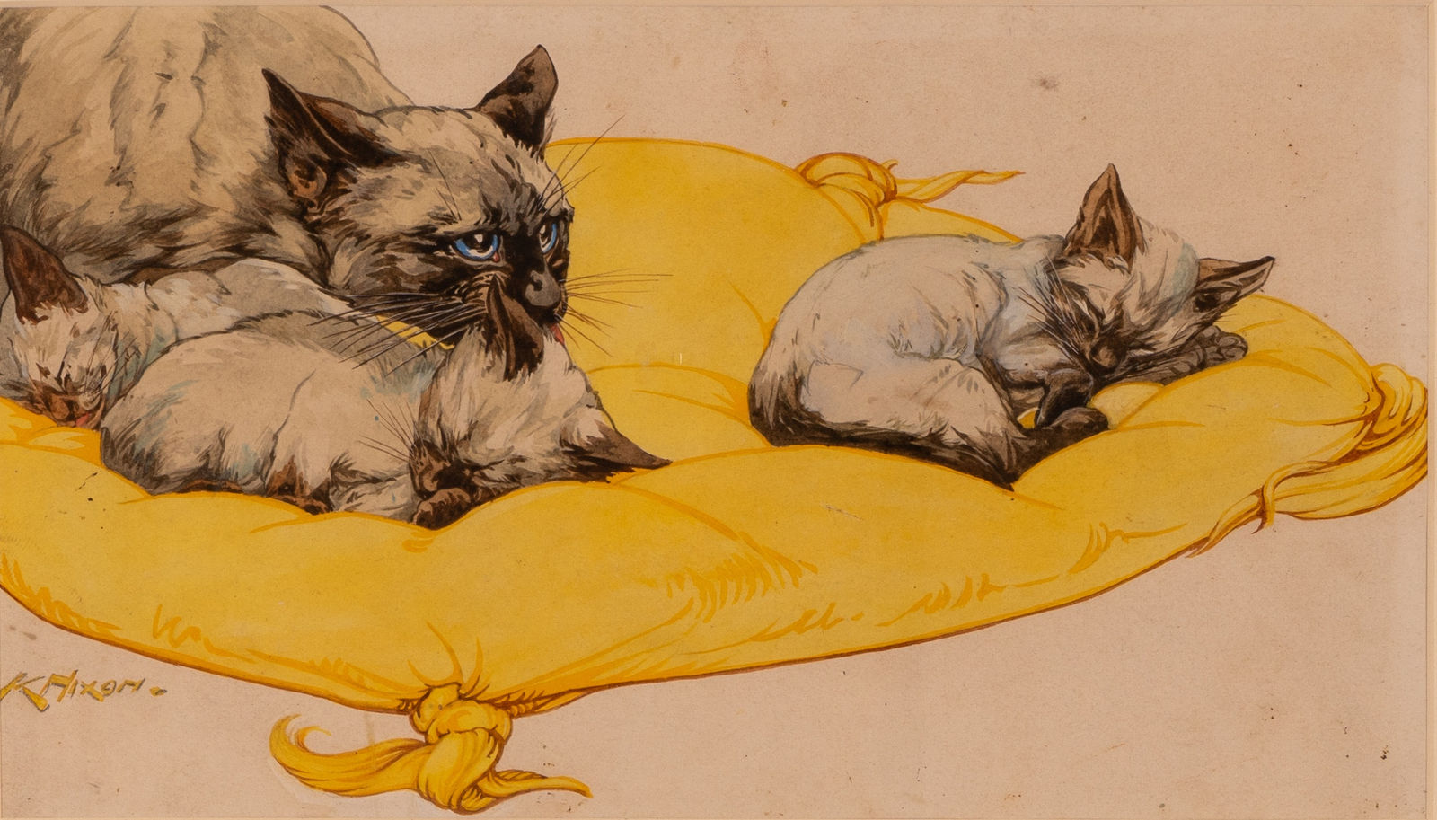 Kay Nixon, Cat and kittens from the book 'Pushti'