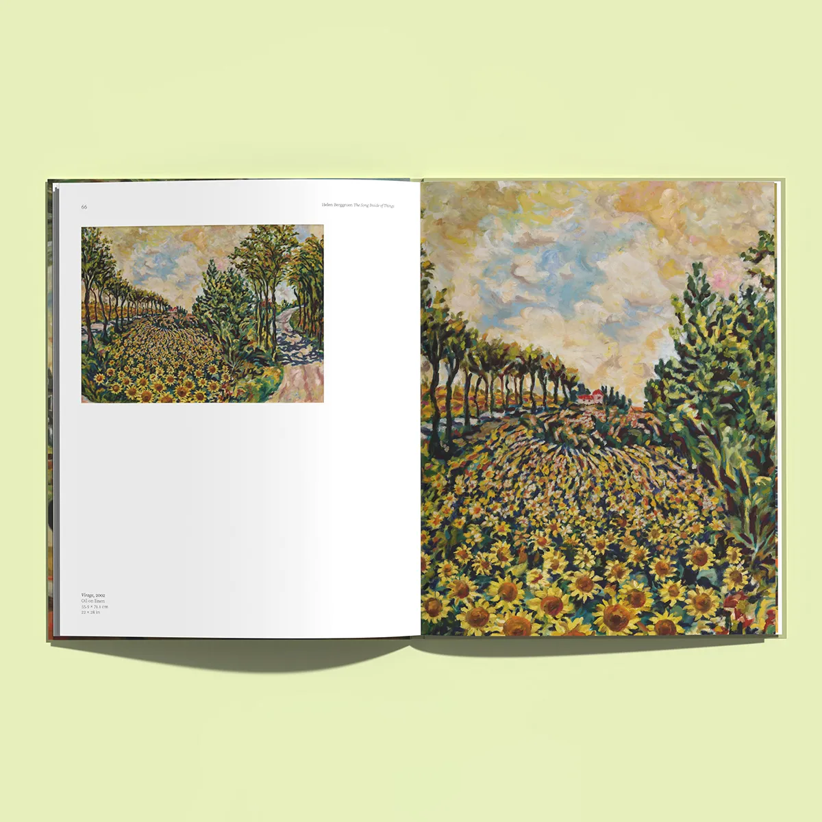 Helen Berggruen: The Song Inside of Things