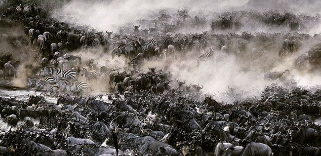 Steve Bloom, Migration