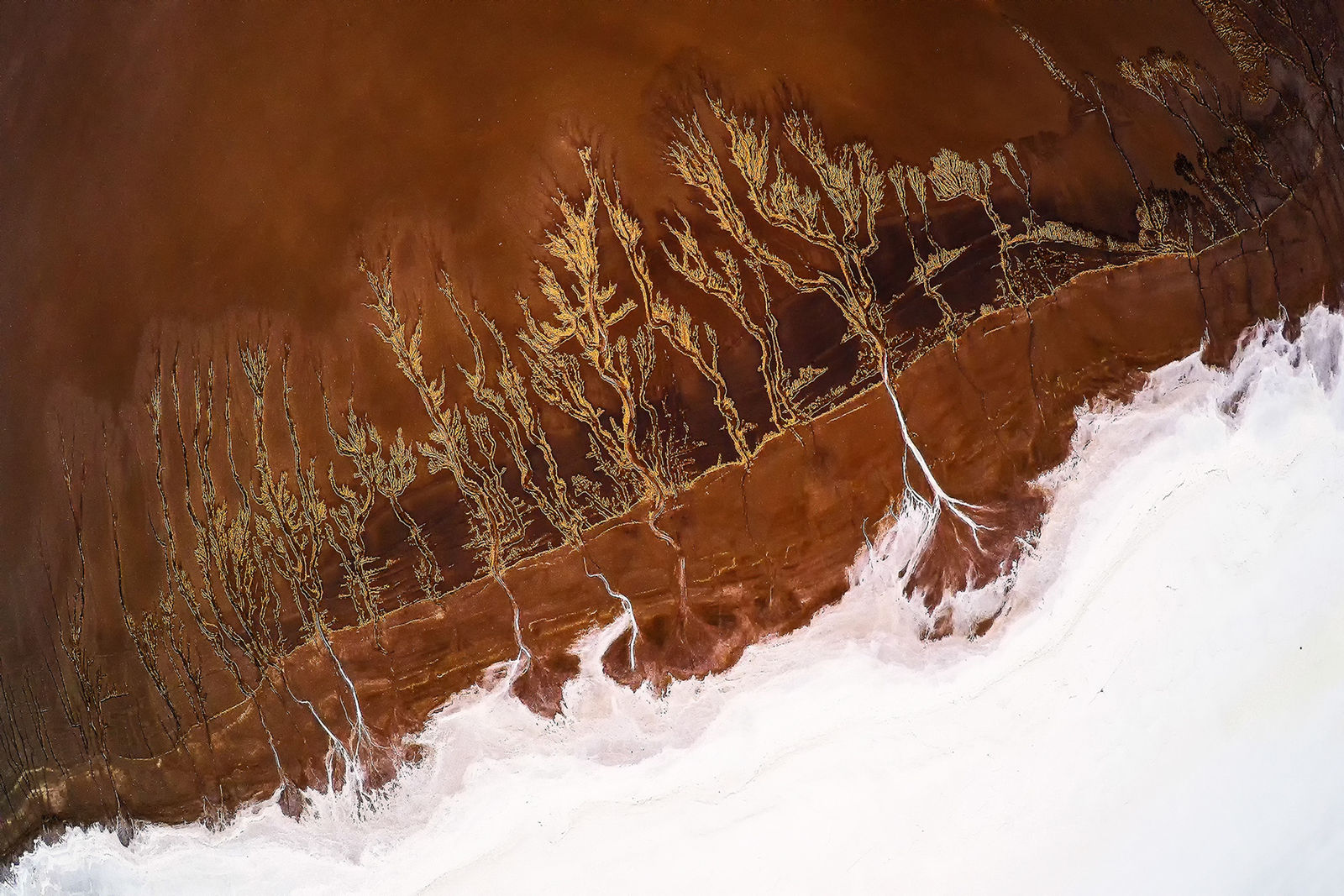 Yi Sun, California Drought Study 2, USA, 2016