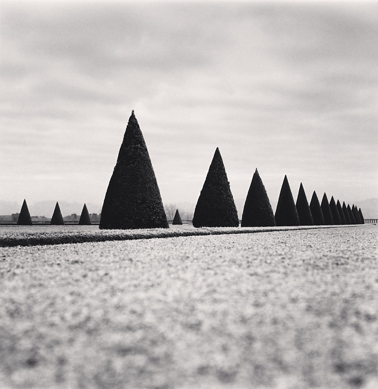 Michael Kenna, Eighteen Hedges, Versailles, France, 1998