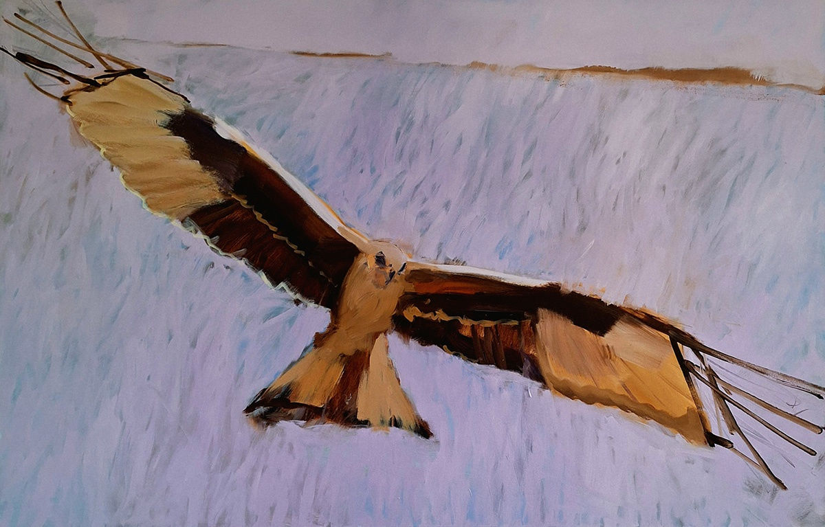 Nick Bodimeade, Kite Reach 2