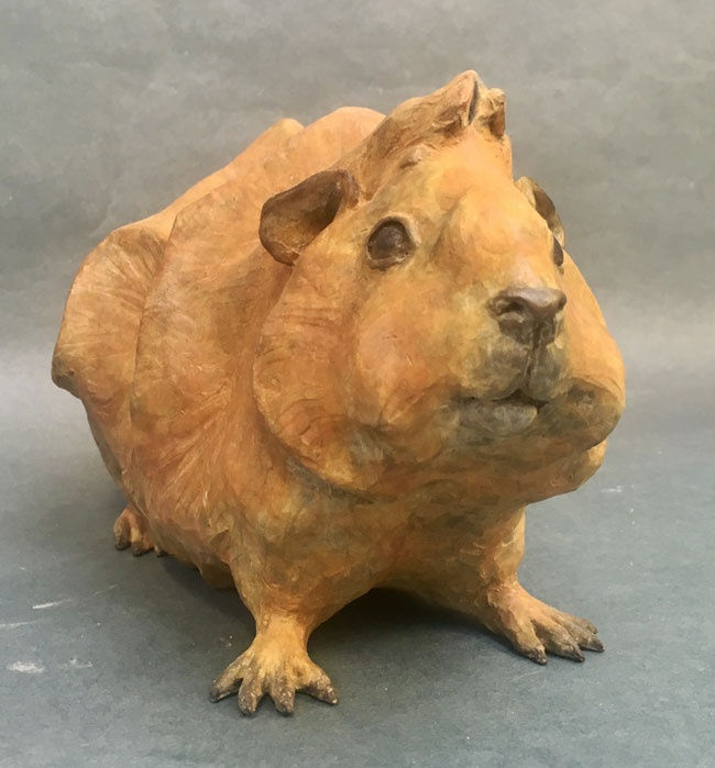 Dido Crosby, Abyssinian Guinea Pig