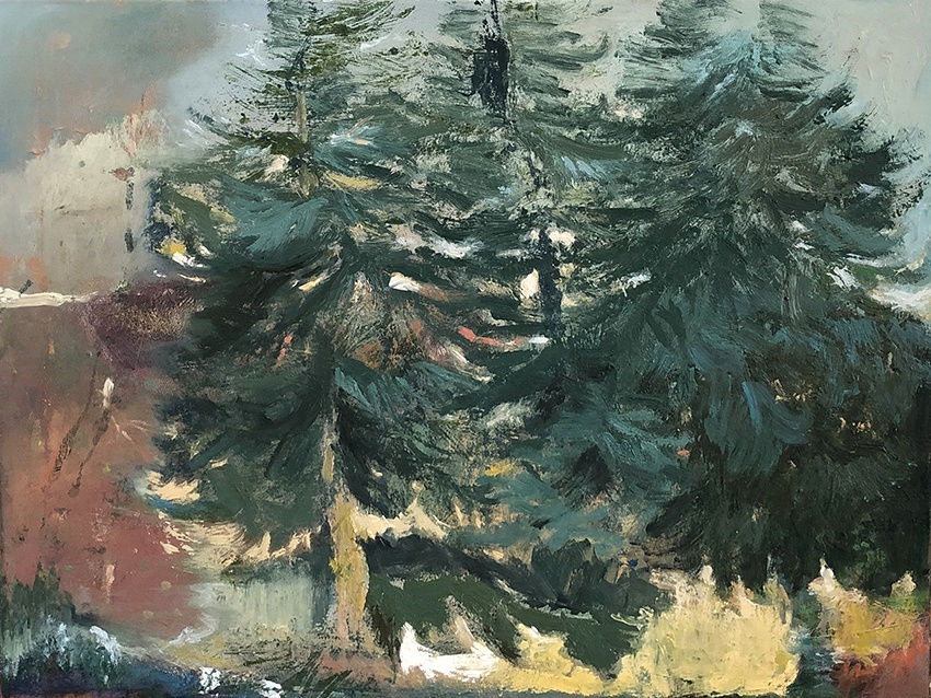 Ramzi Ghotbaldin, Sapins du Limousin 5