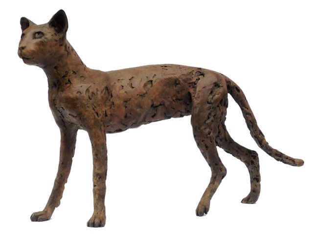 Dido Crosby, Rough Cat