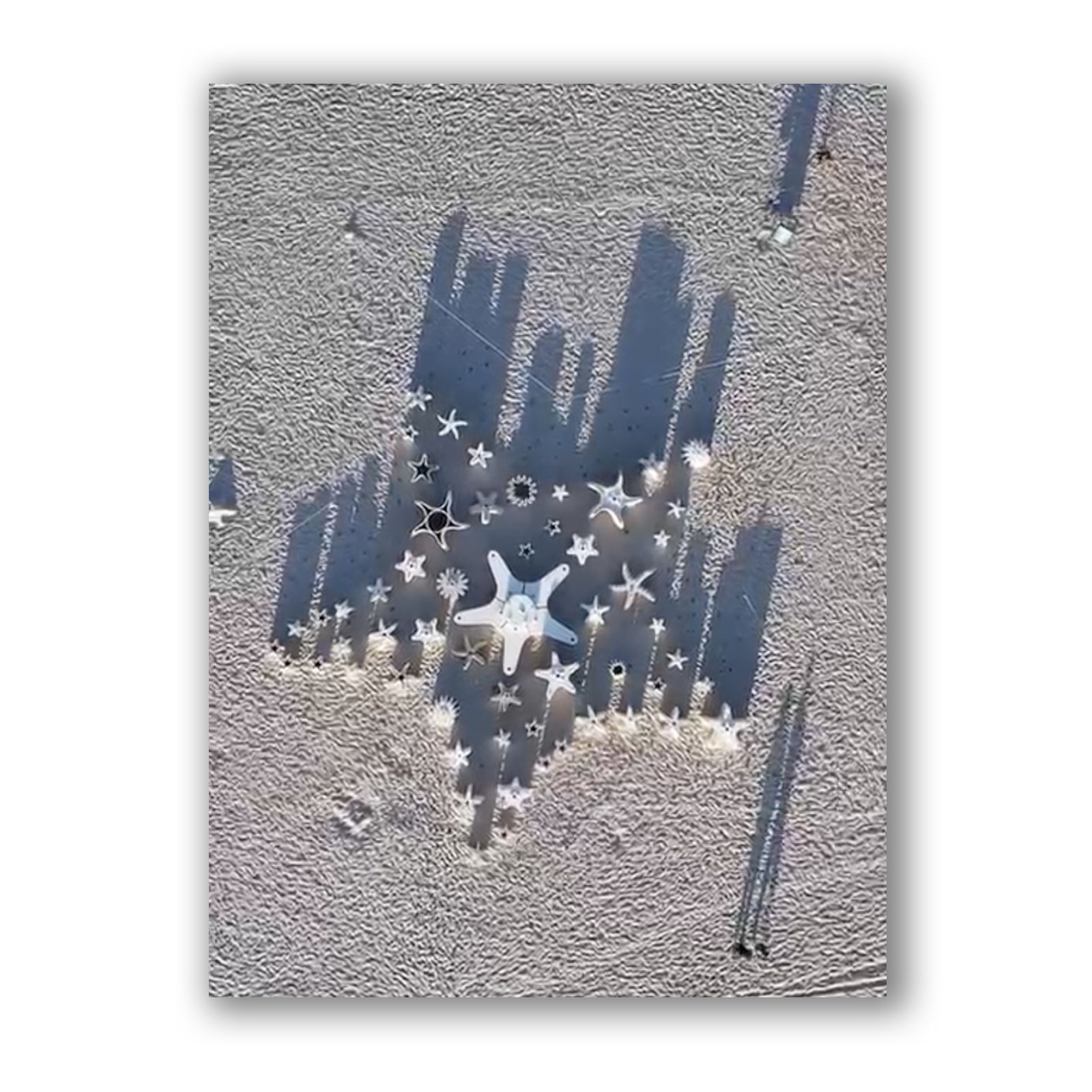 Carlos Betancourt and Alberto Latorre, Star Compass: The Miami Reef Star, Carlos Betancourt and Alberto Latorre, 2024