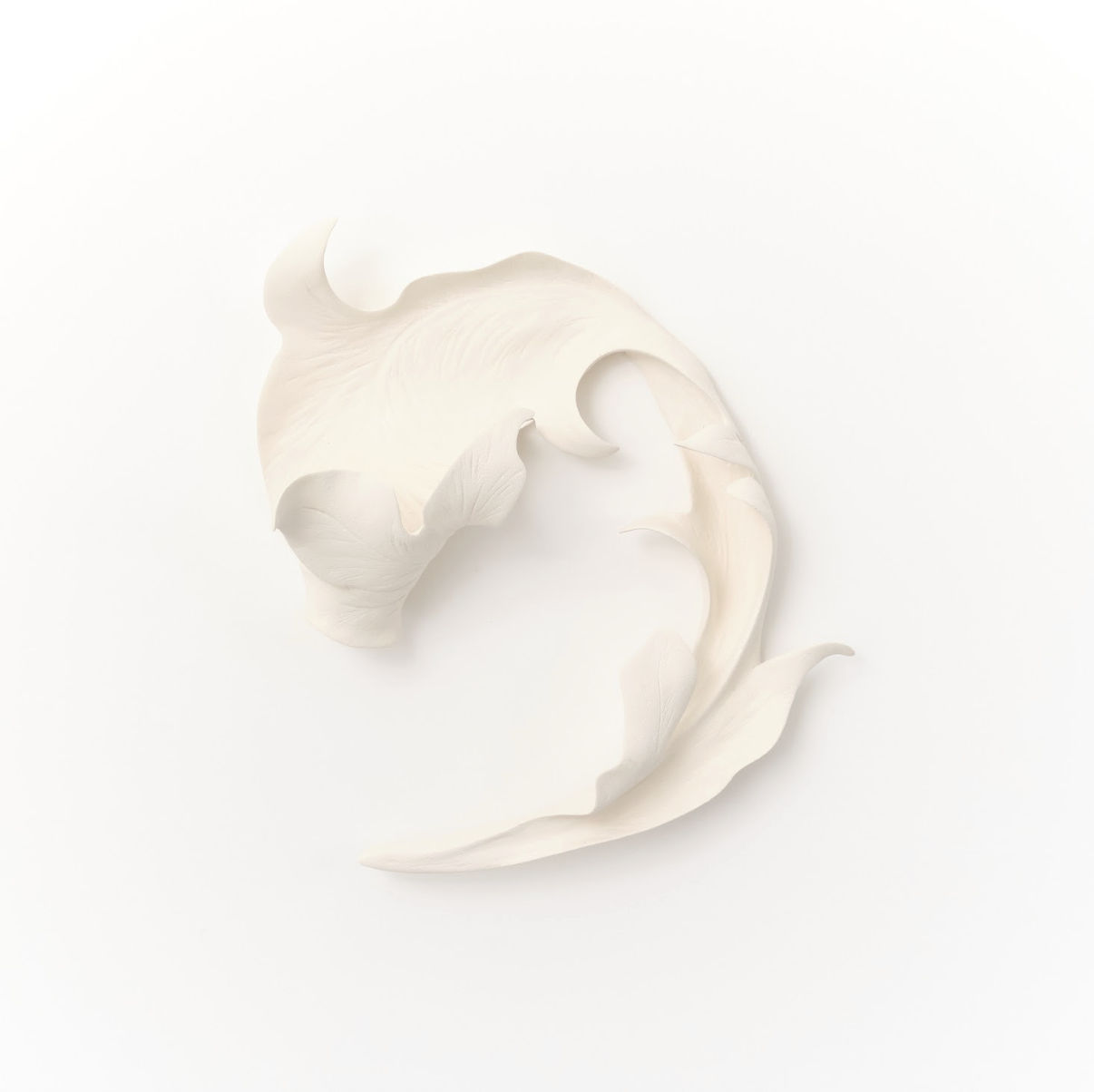 Marina Nimmo, Cornflower Leaf #8, 2025