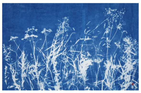 Andrea Zvadova , SUMMER WALKS IV