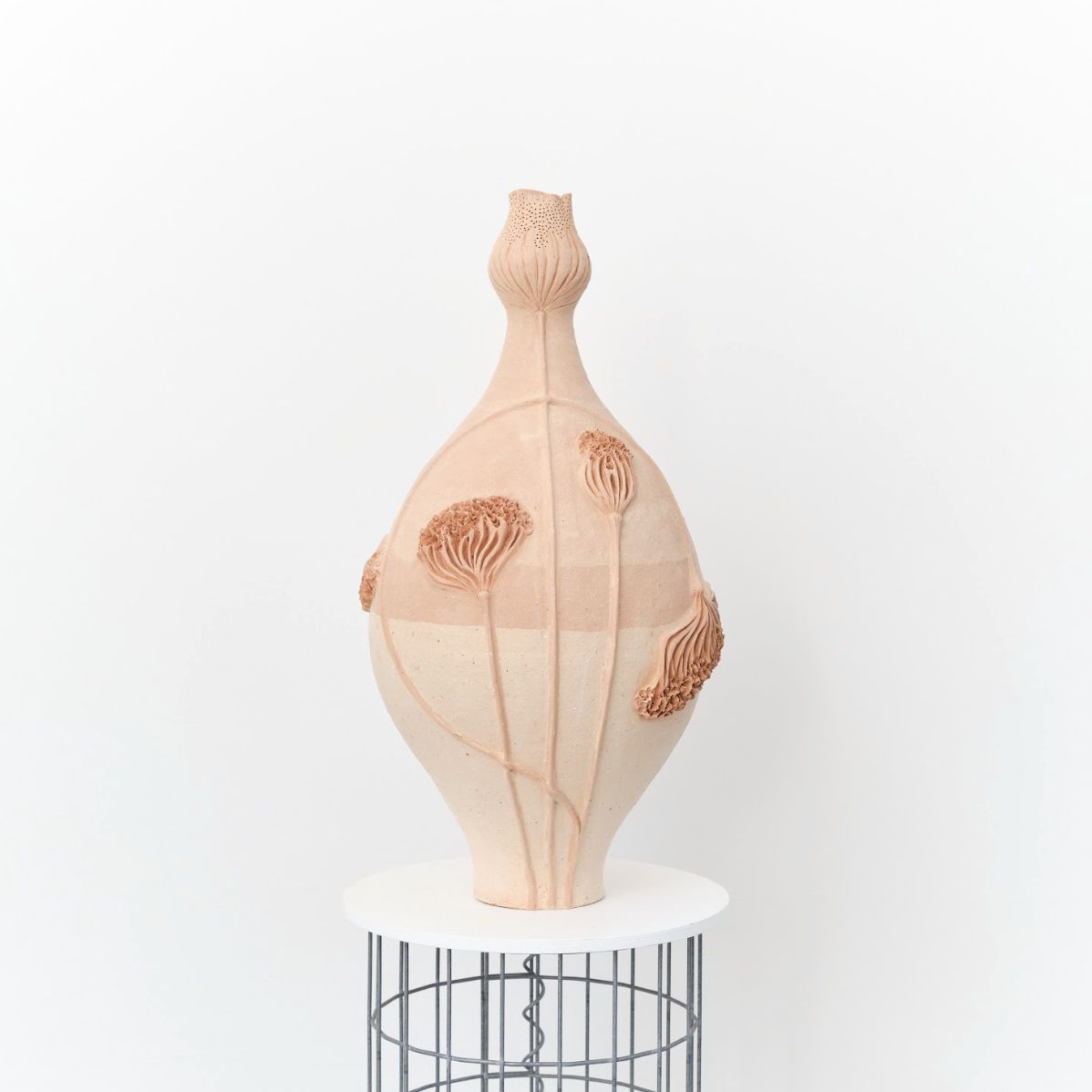 Marina Nimmo, Carrotte Sauvage Vase, 2025