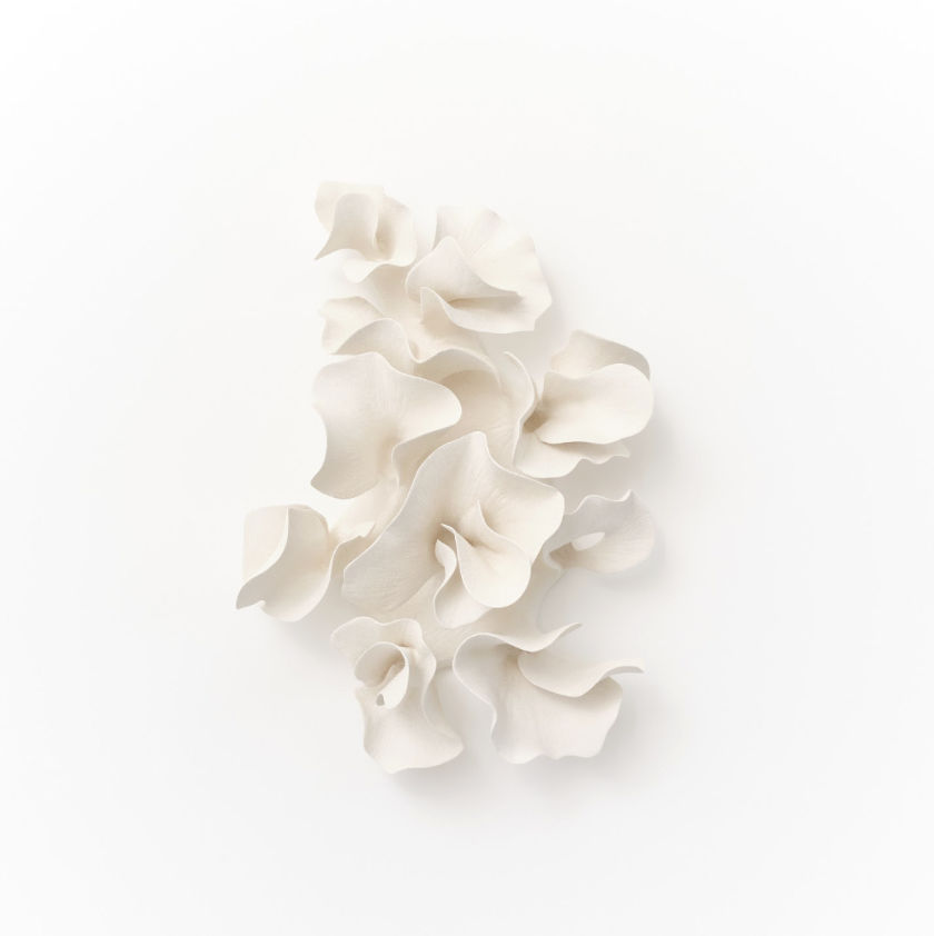 Marina Nimmo, Entwine, 2025