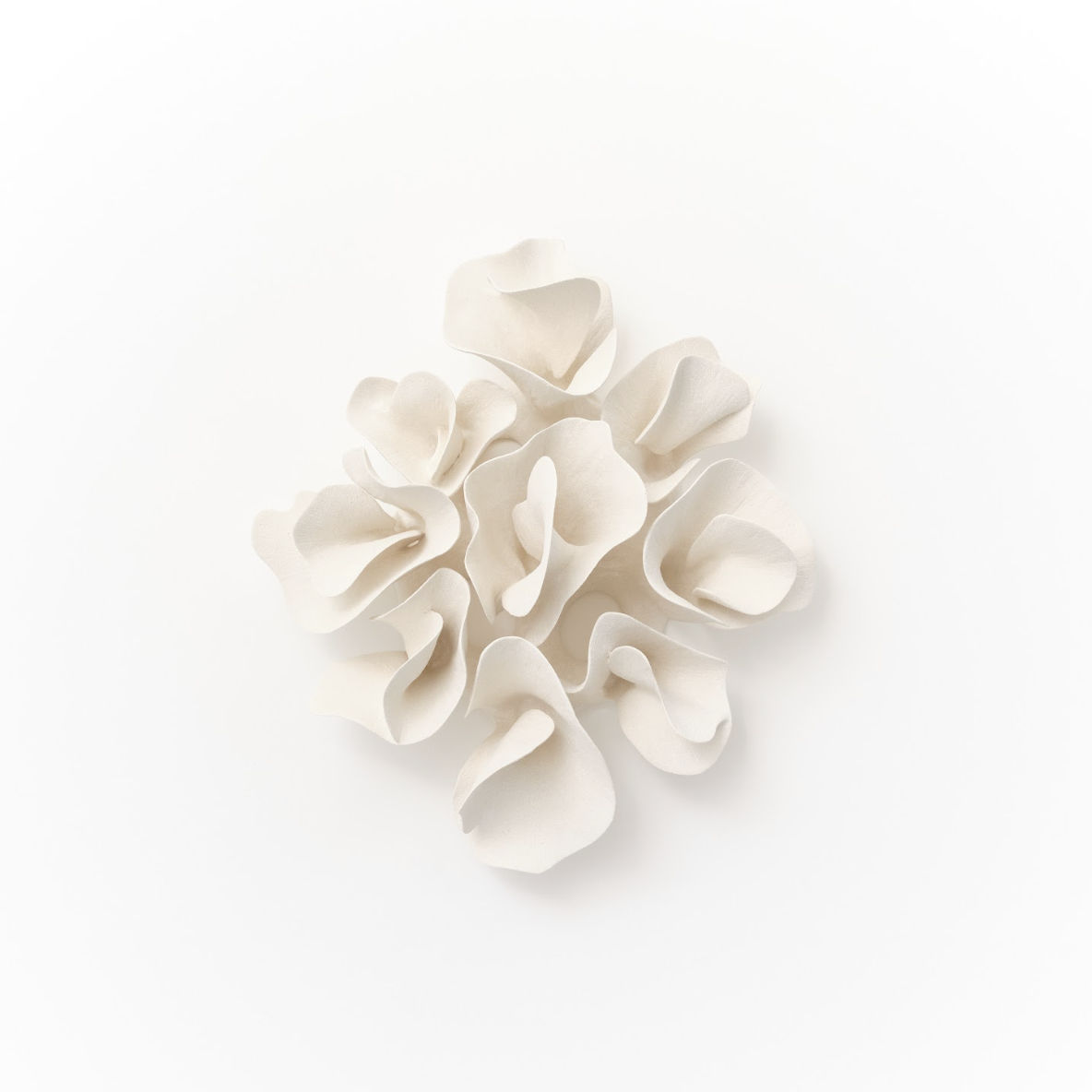 Marina Nimmo, Efflorescence #5 , 2025