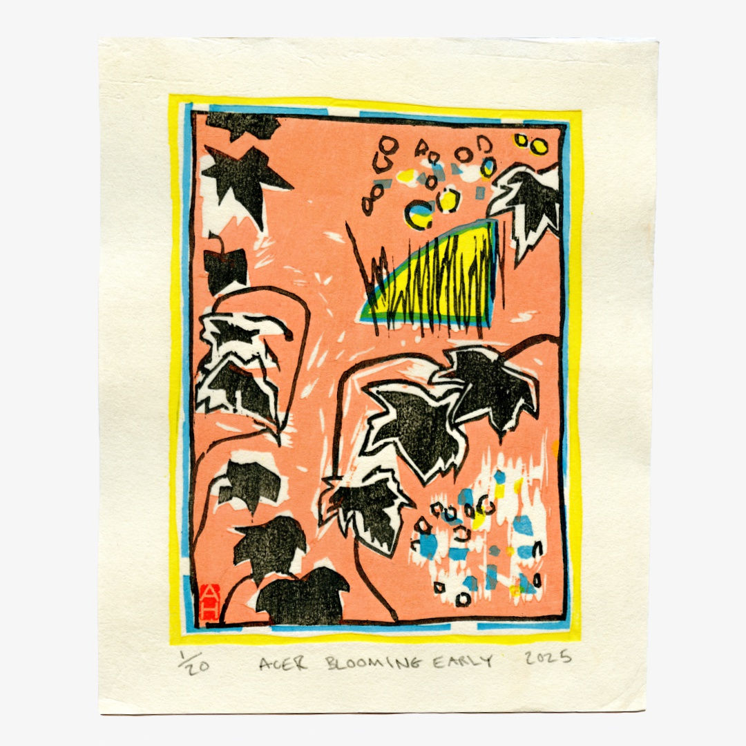 Adrian Holmes, ACER BLOOMING EARLY, 2025