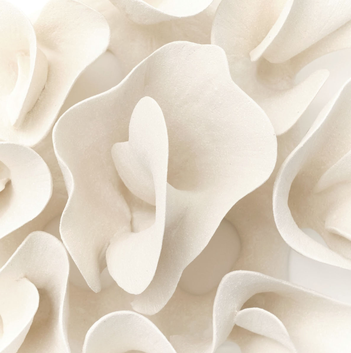 Marina Nimmo, Efflorescence #5 , 2025