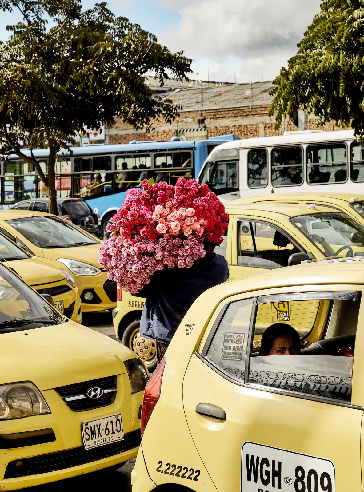 Luis Mora, Untitled 12 (Paloquemao, Bogotá, Colombia), 2018