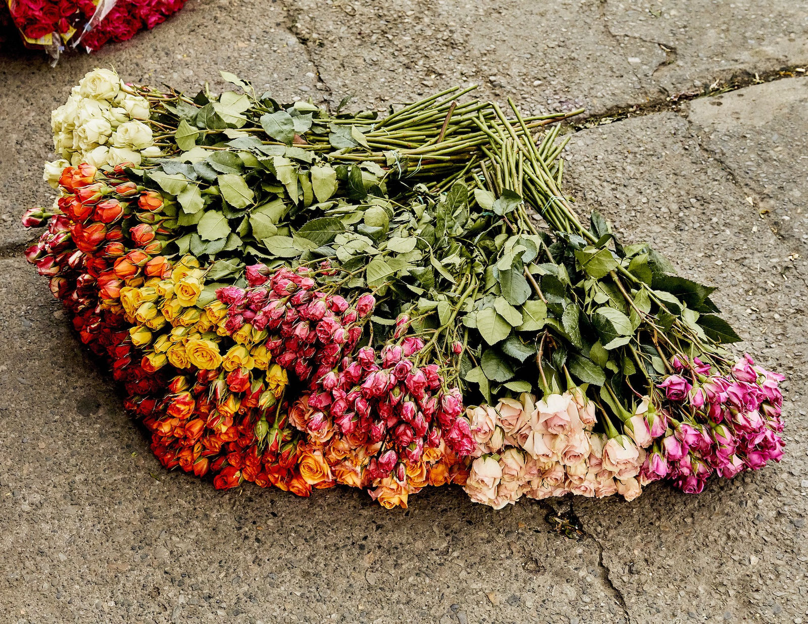 Luis Mora, Untitled 20 (Paloquemao, Bogotá, Colombia), 2018