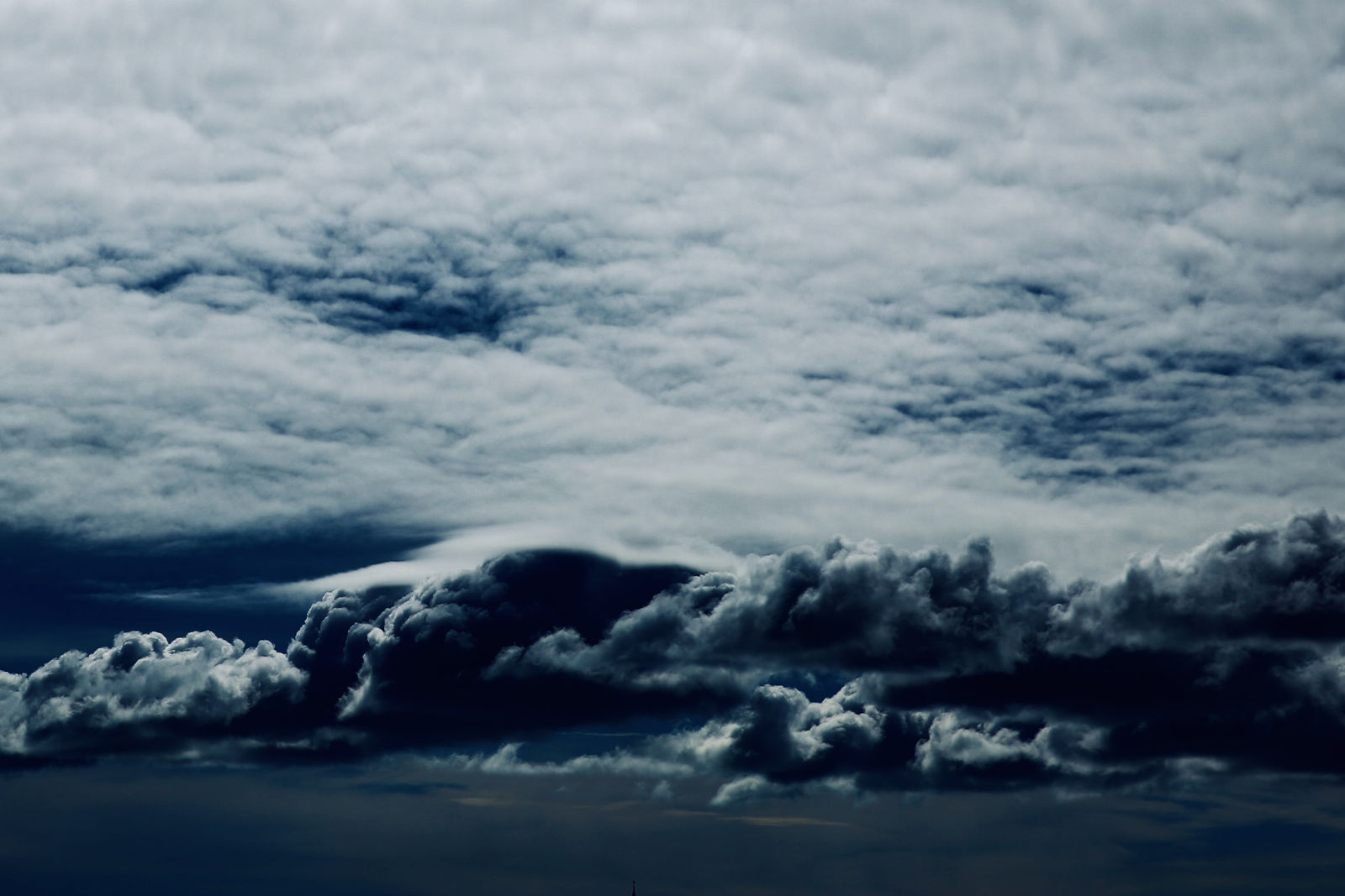 Wendy Bell, Moonlight and Water, 2020