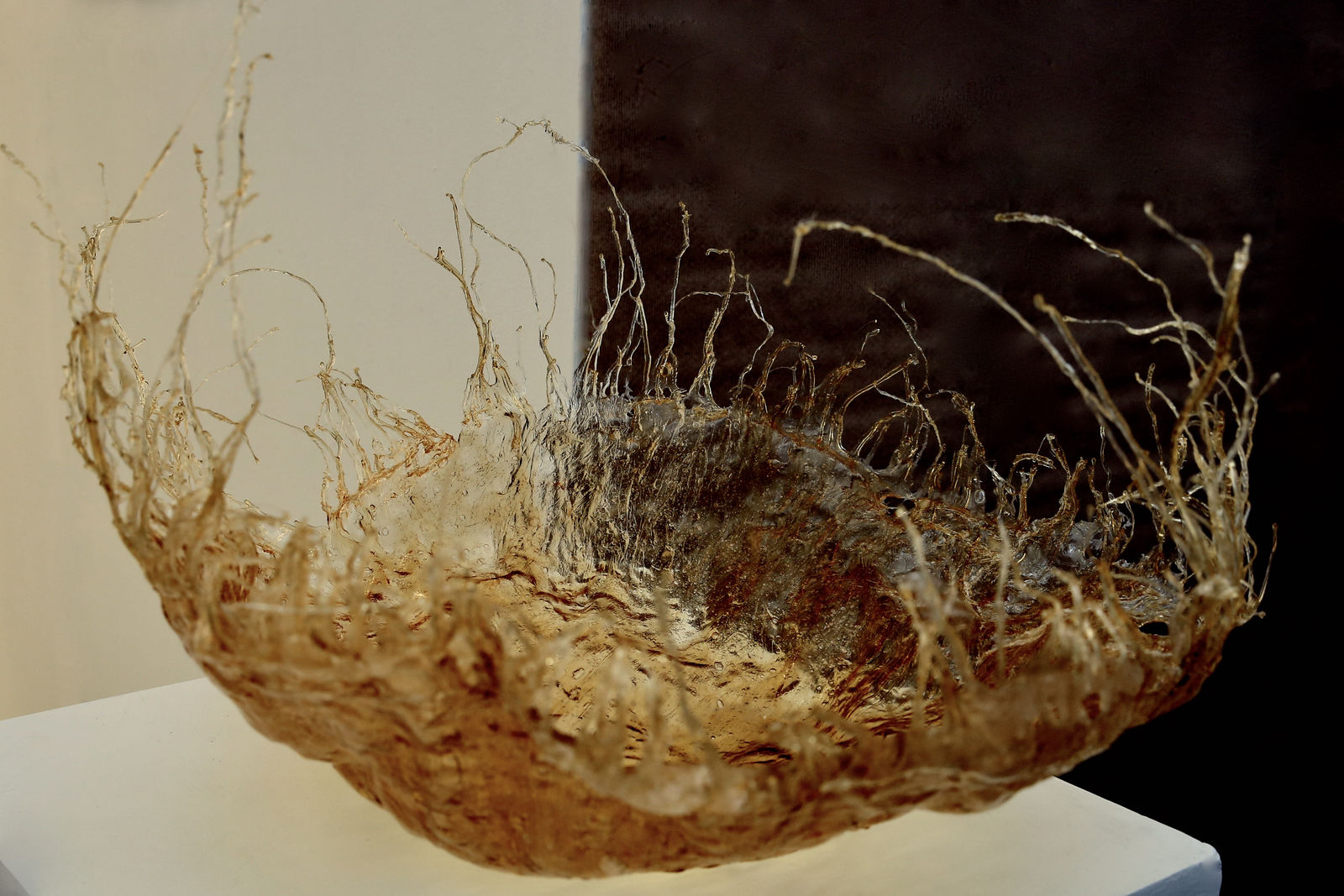 Wendy Bell, Sentient Transition, 2020