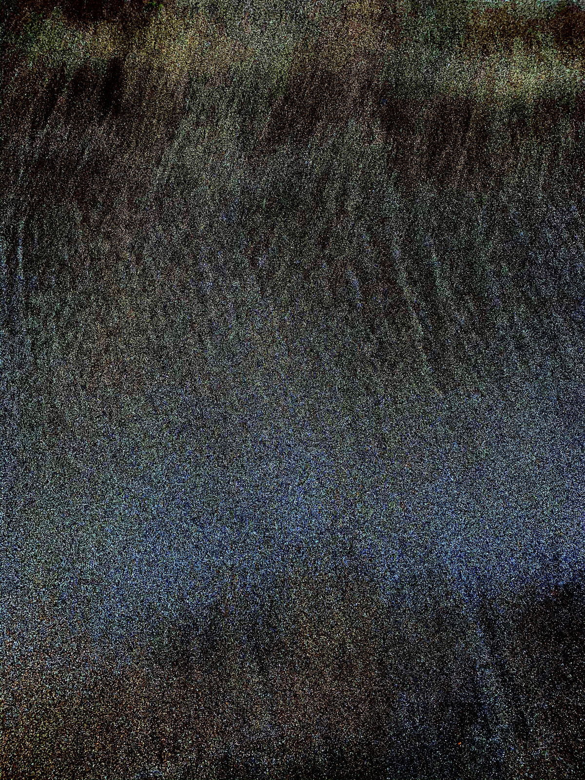 Wendy Bell, Grains of Sand, 2020