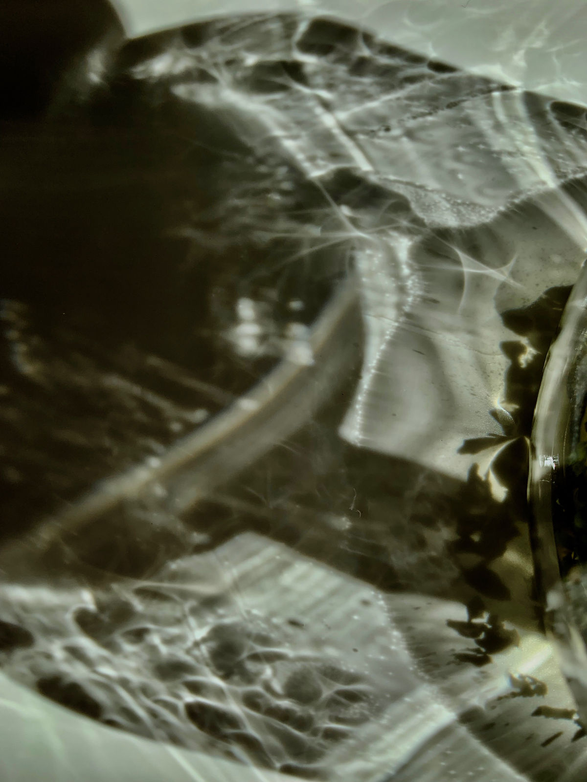 Contained for a Moment, 2020