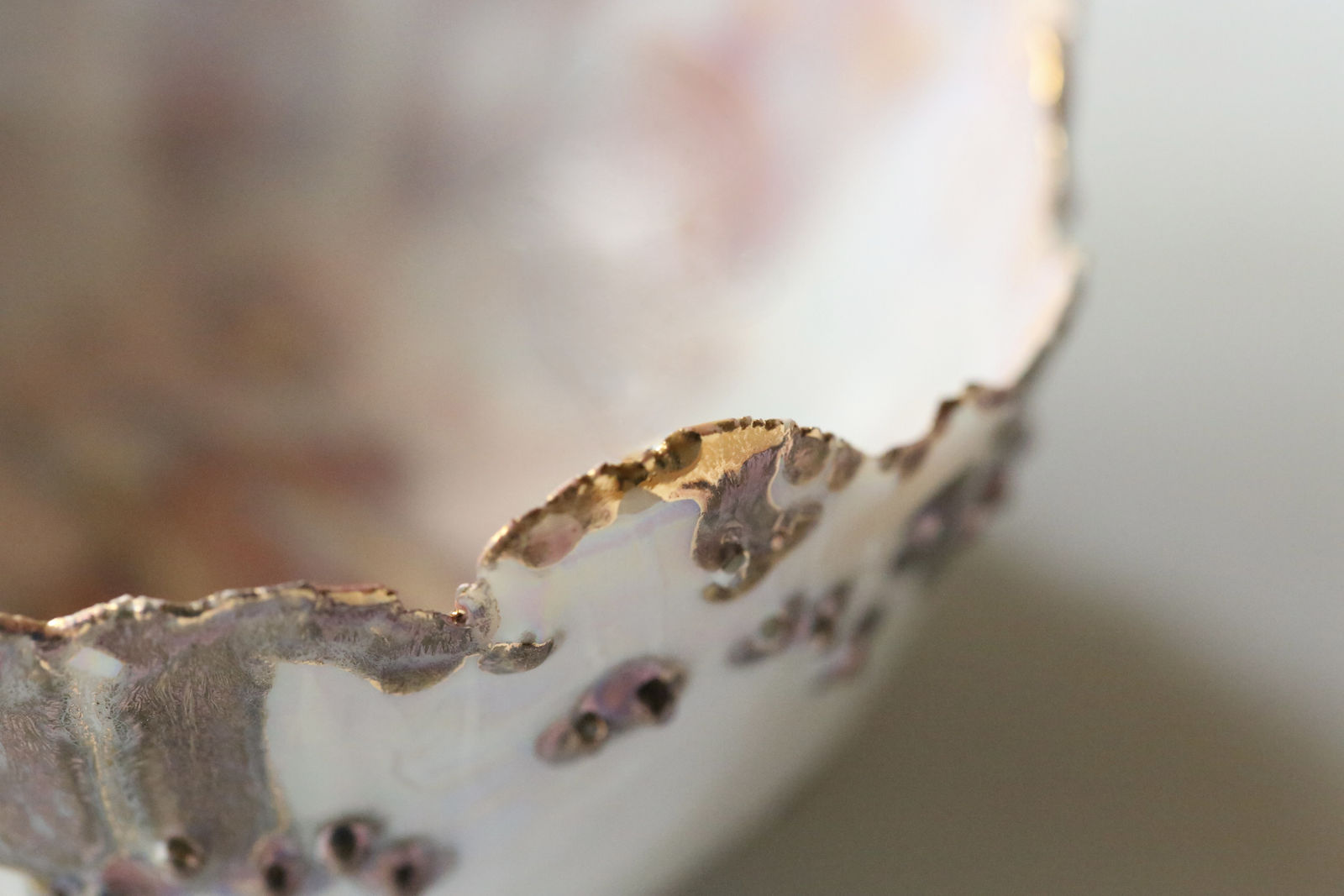 Wendy Bell, To notice , 2023