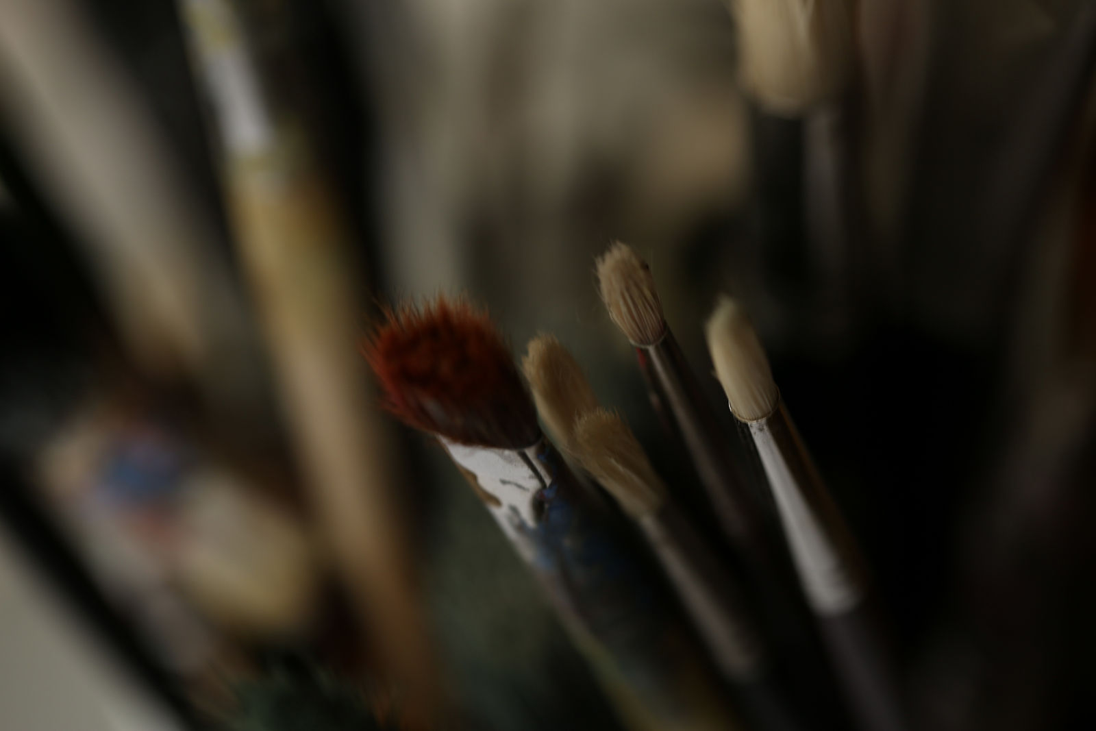 Wendy Bell, To notice , 2023