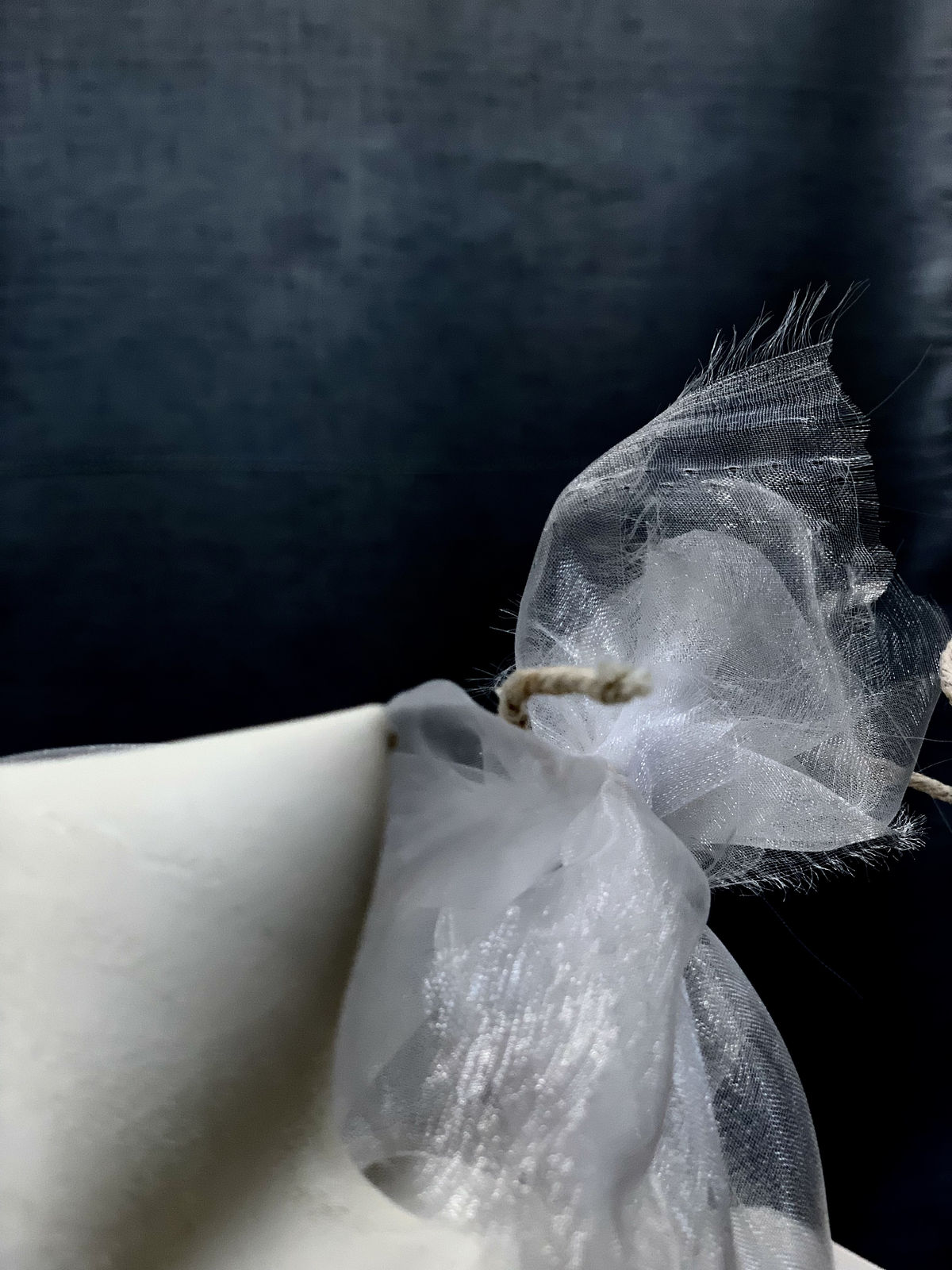 Wendy Bell, Being determined by, 2022