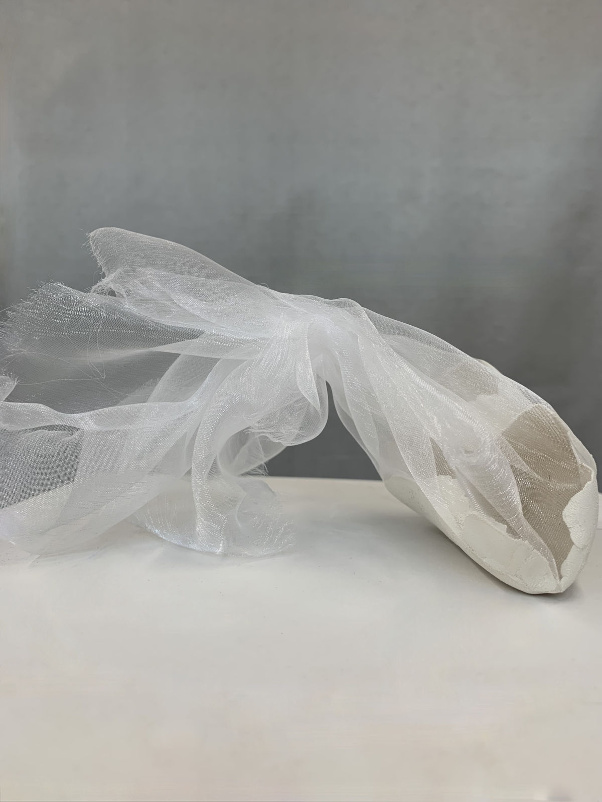 Wendy Bell, Being determined by, 2022