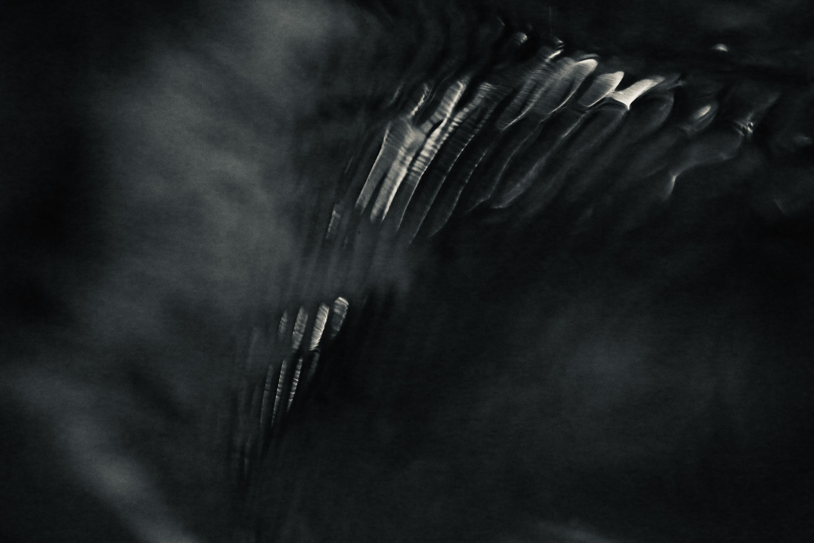 Wendy Bell, Inside Flow, 2024