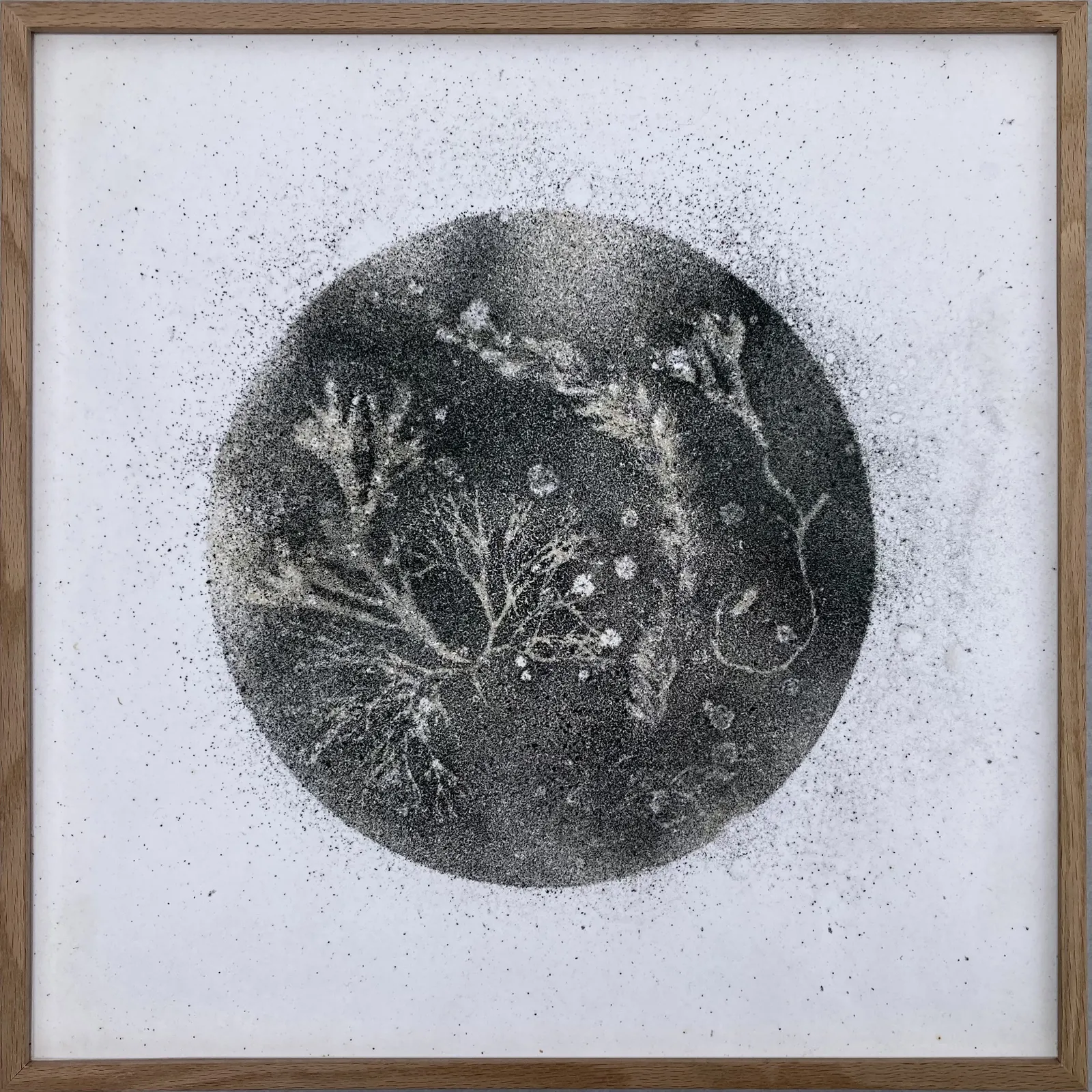 Liz McGowan, Absence: The Norfolk Chalk Reef 6, 2022