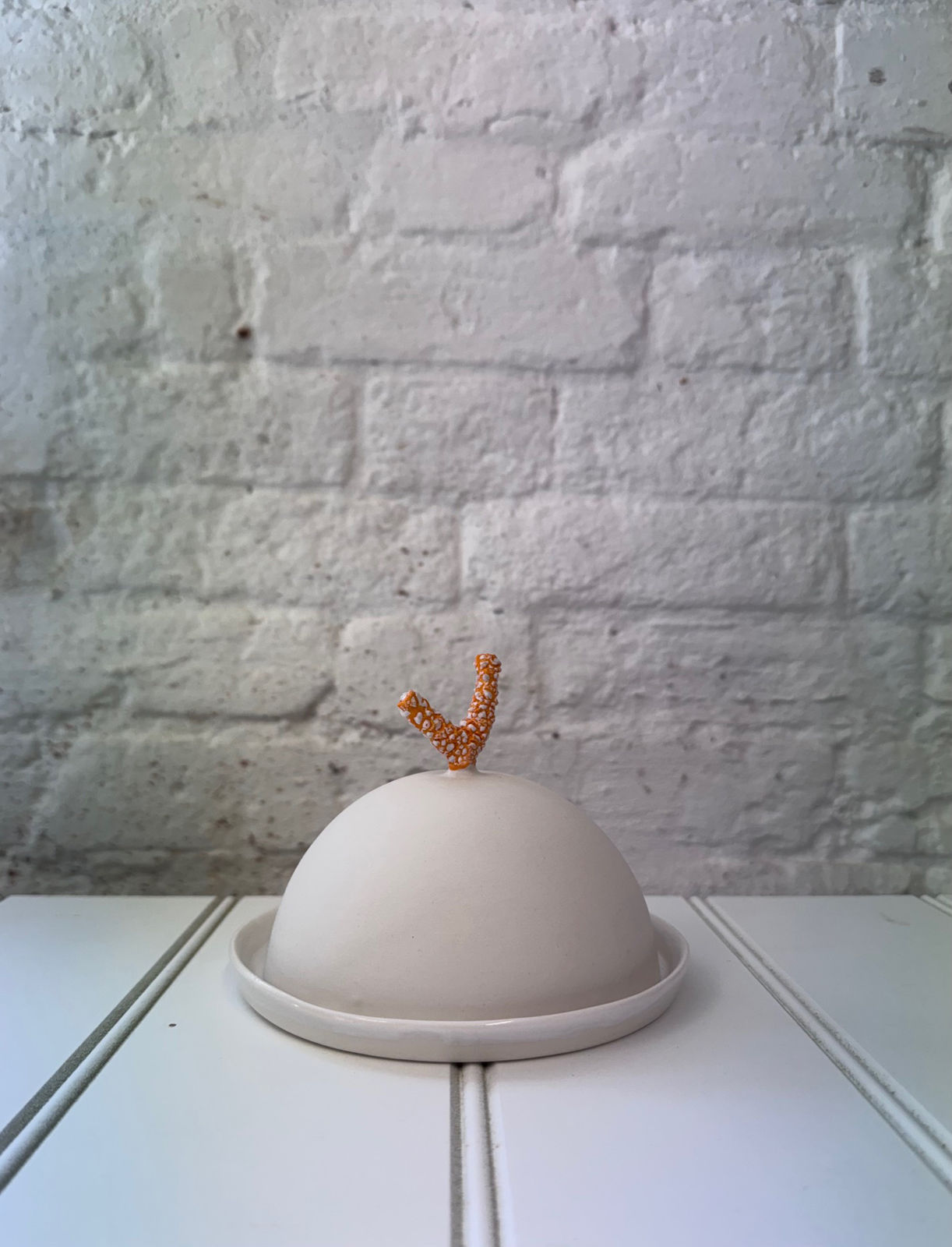 Steven Will, Butter Dish, 2025