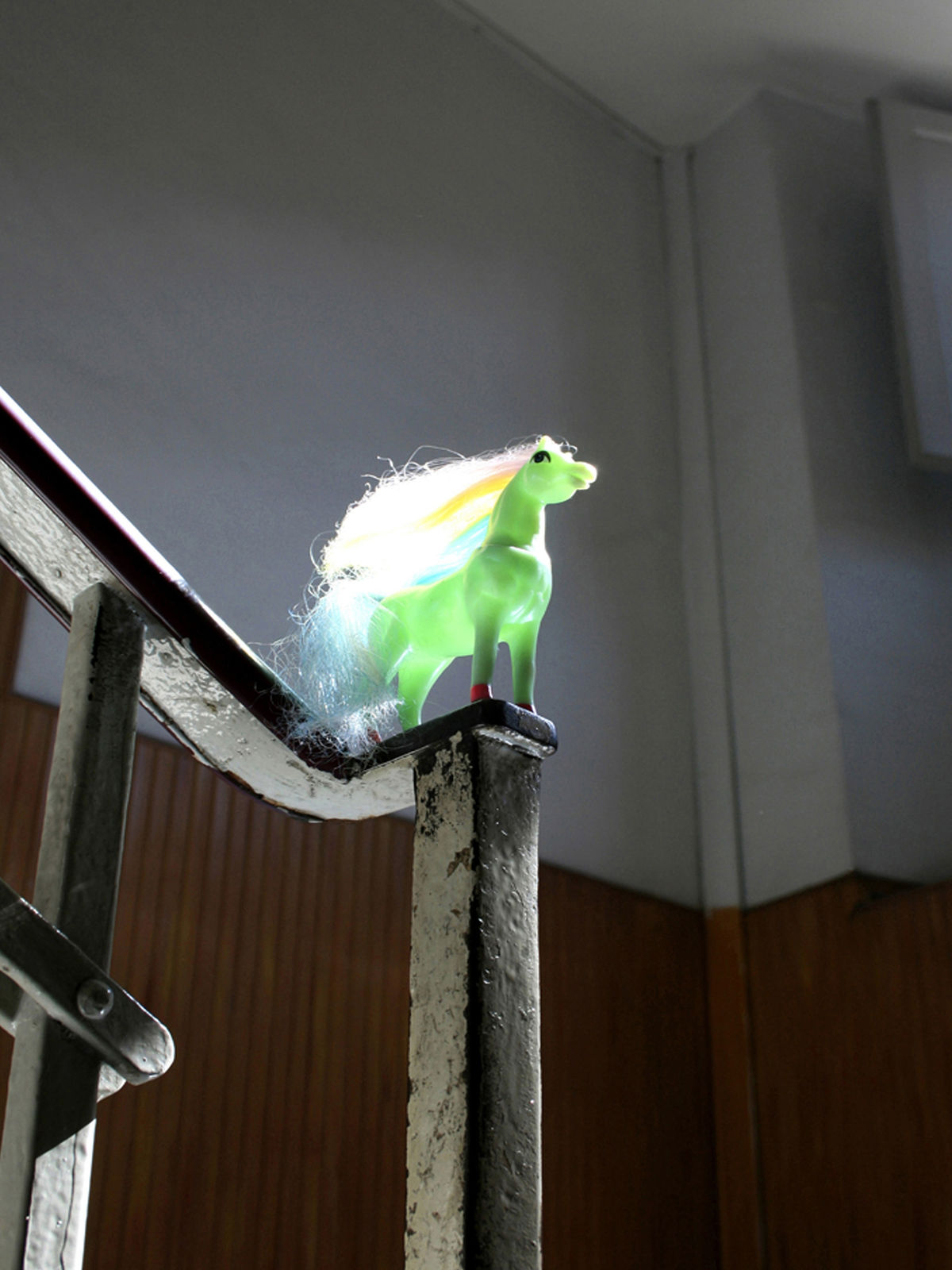 Polly Cruse, Principessa, 2024