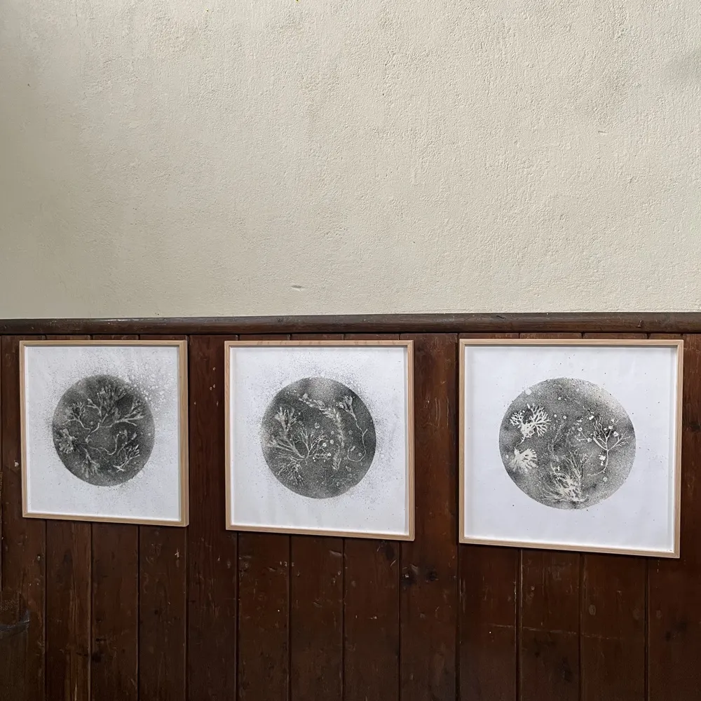 Liz McGowan, Absence: The Norfolk Chalk Reef 8, 2022