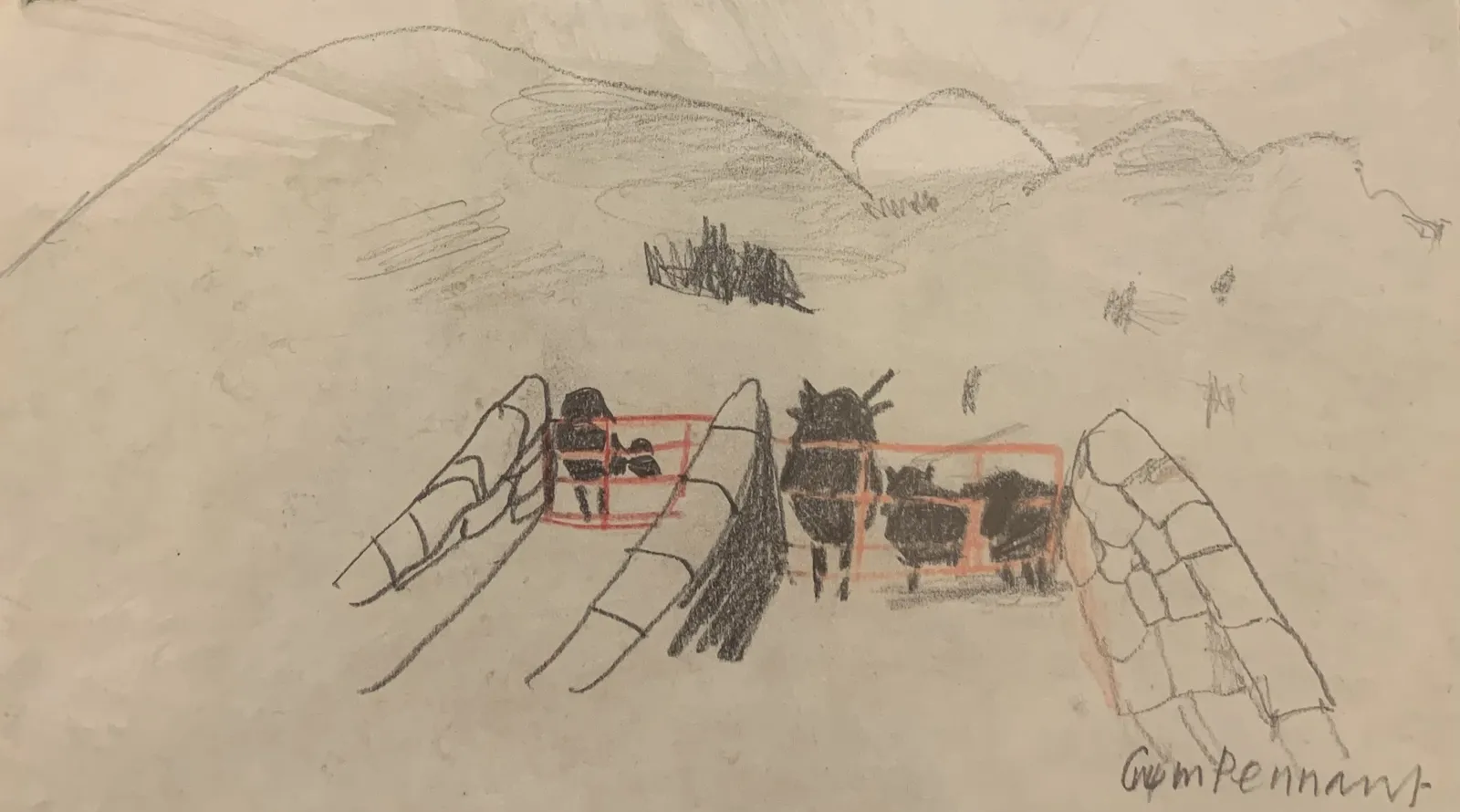 Mary Newcomb, Gwm Pennant