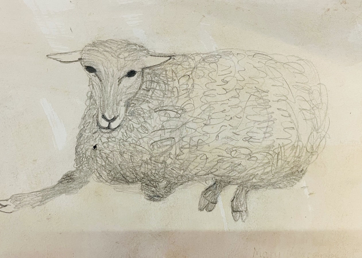 Mary Newcomb, Sheep Lying Down