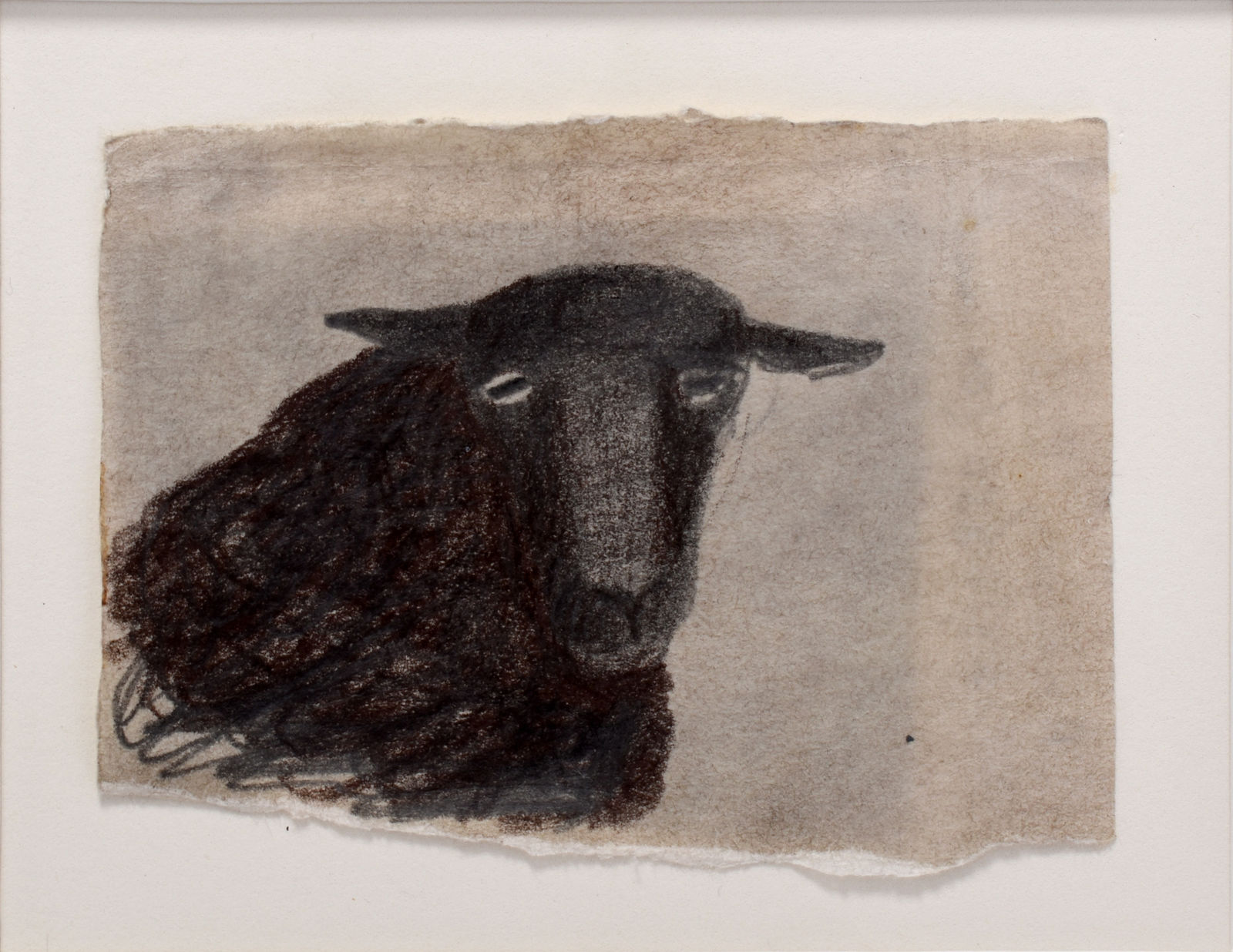 Mary Newcomb, Ewe