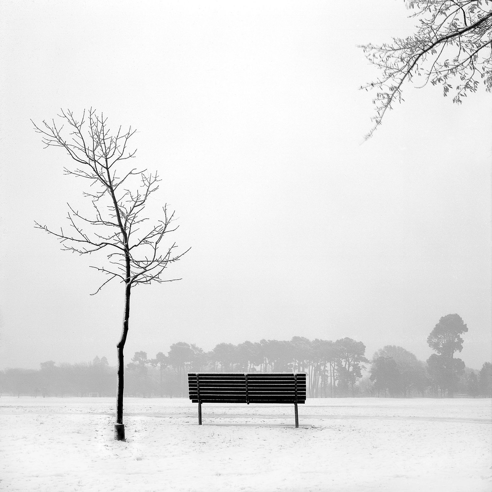Winter View, Hagley Park