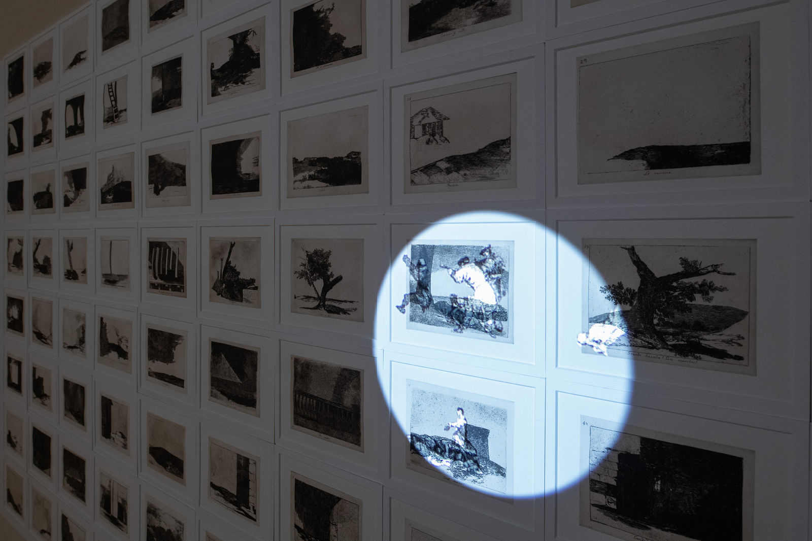 Installation View of From Dawn till Dusk a group presentation of works in Bonn Museum.