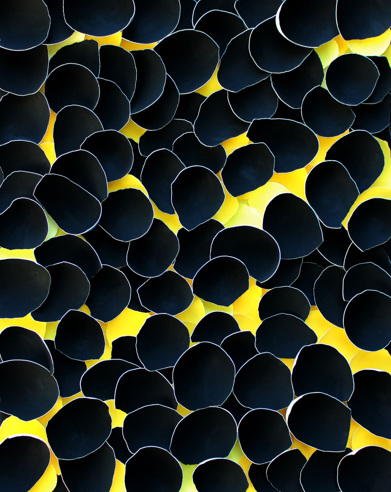 Larisa Safaryan, Four Elements (Yellow), 2023