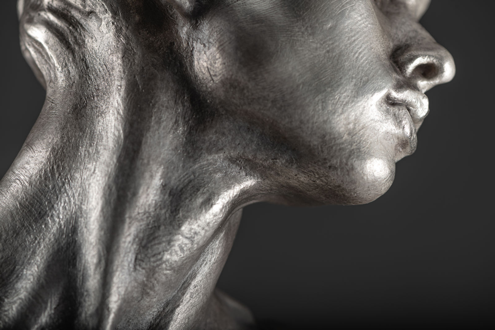 Richard MacDonald , Katherine Bust, Platinum, 2010