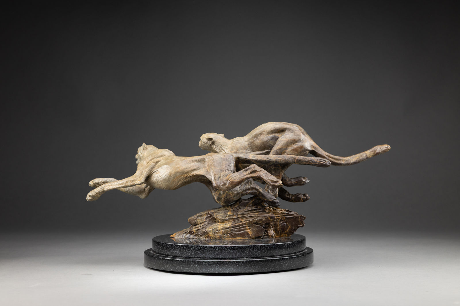 Richard MacDonald, Coursing Cheetahs, Atelier , 2024