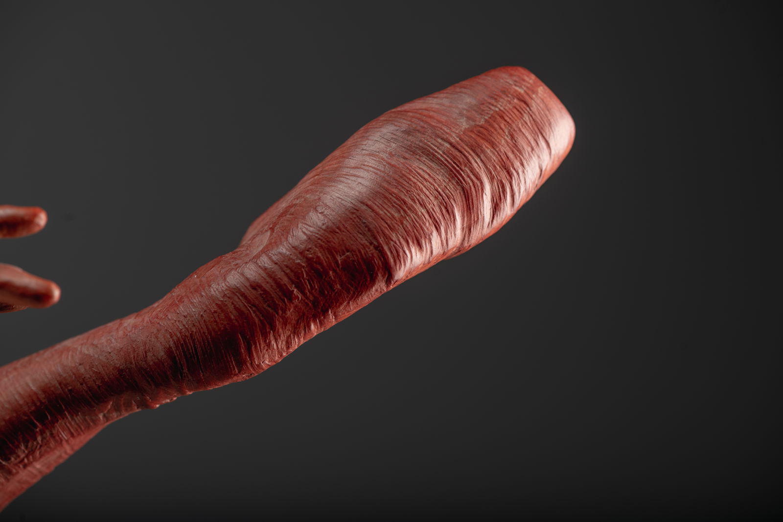 Richard MacDonald, Sissone, Third Life Red, 2015