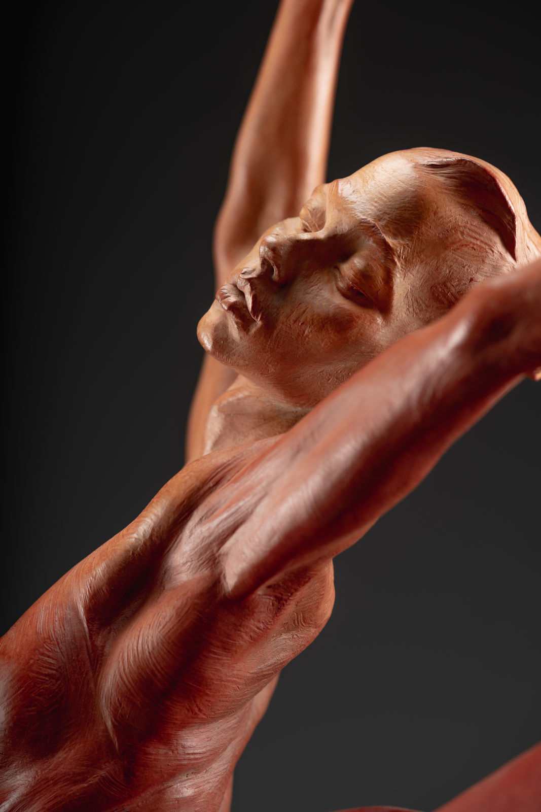 Richard MacDonald, Sissone, Third Life Red, 2015