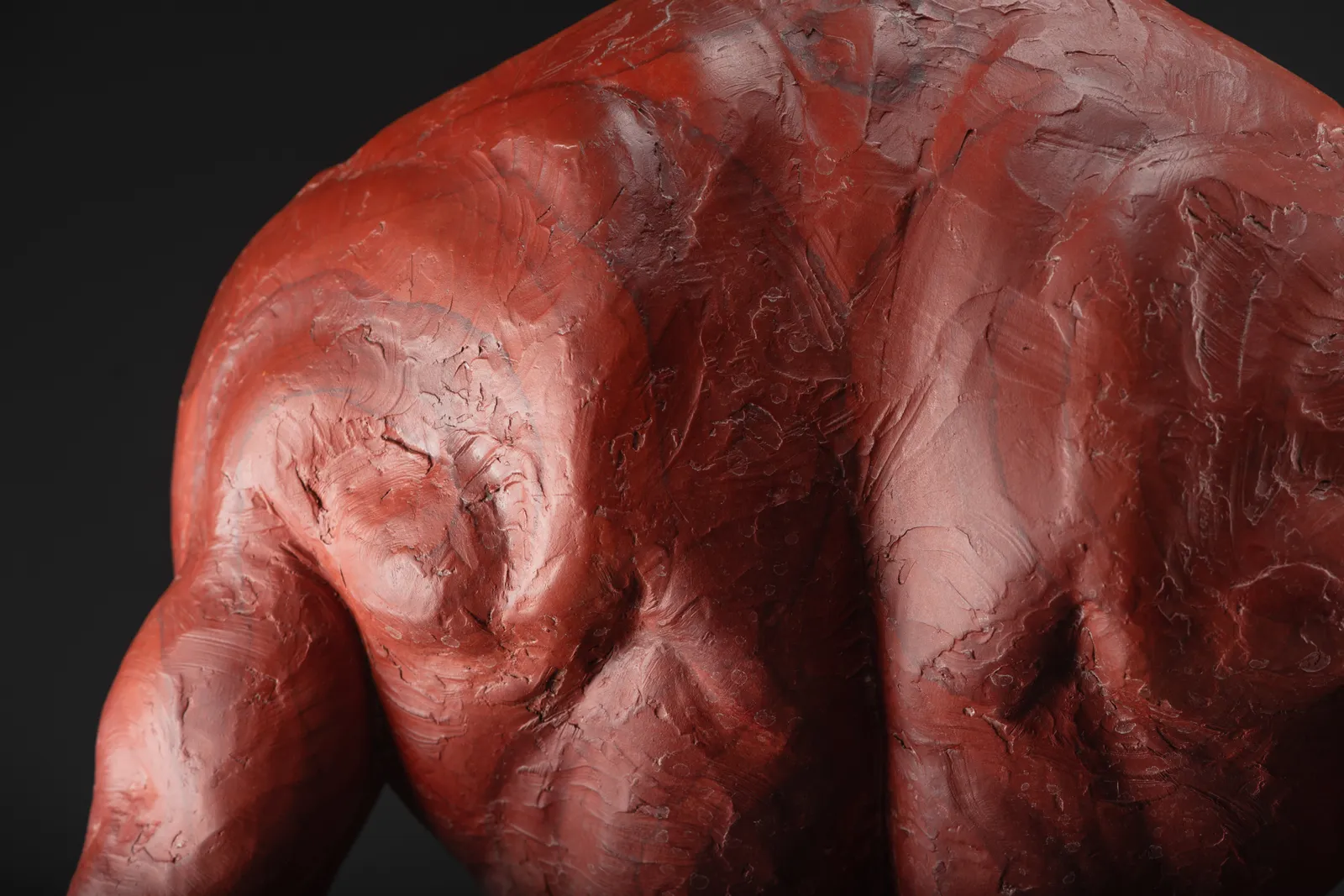 Richard MacDonald, The Guardian, Half Life Red, 2015