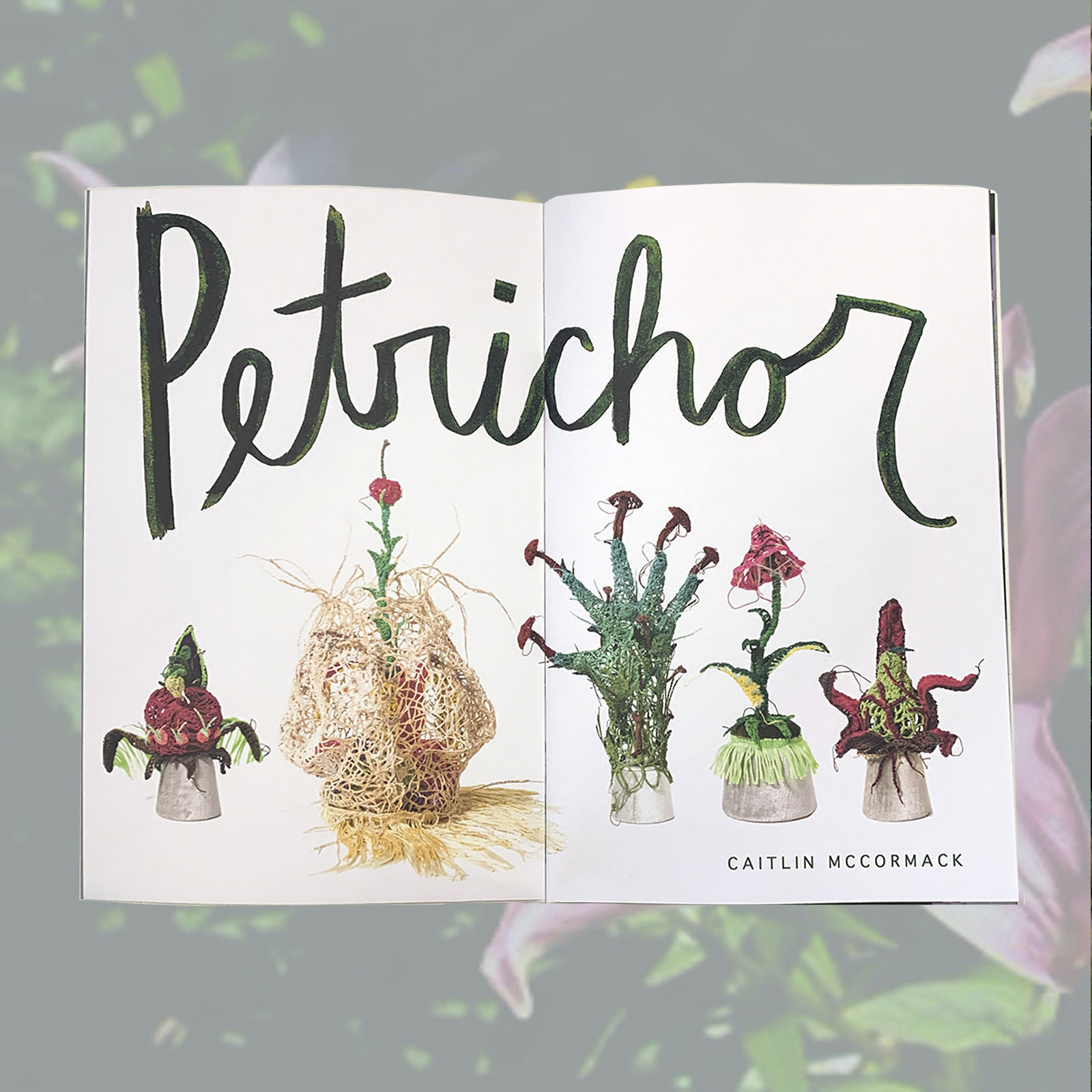 Caitlin McCormack, Petrichor Zine, 2025